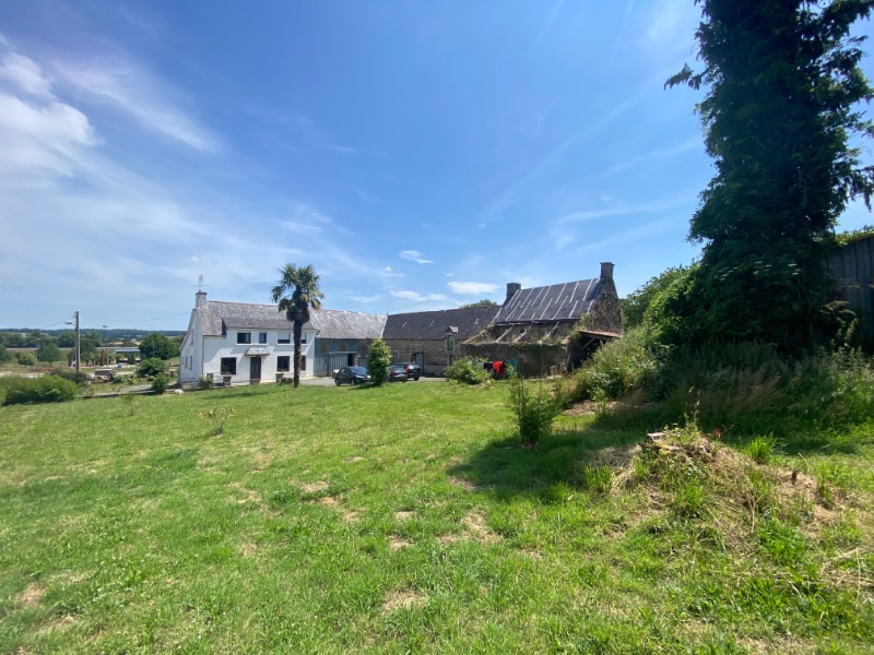 Miniature photo - 14 / 19