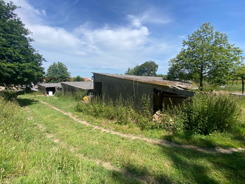 Miniature photo - 13 / 19