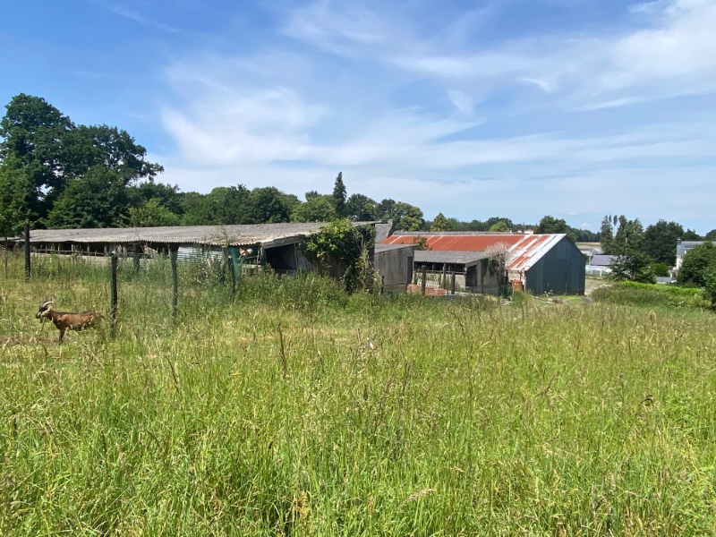 Miniature photo - 12 / 19