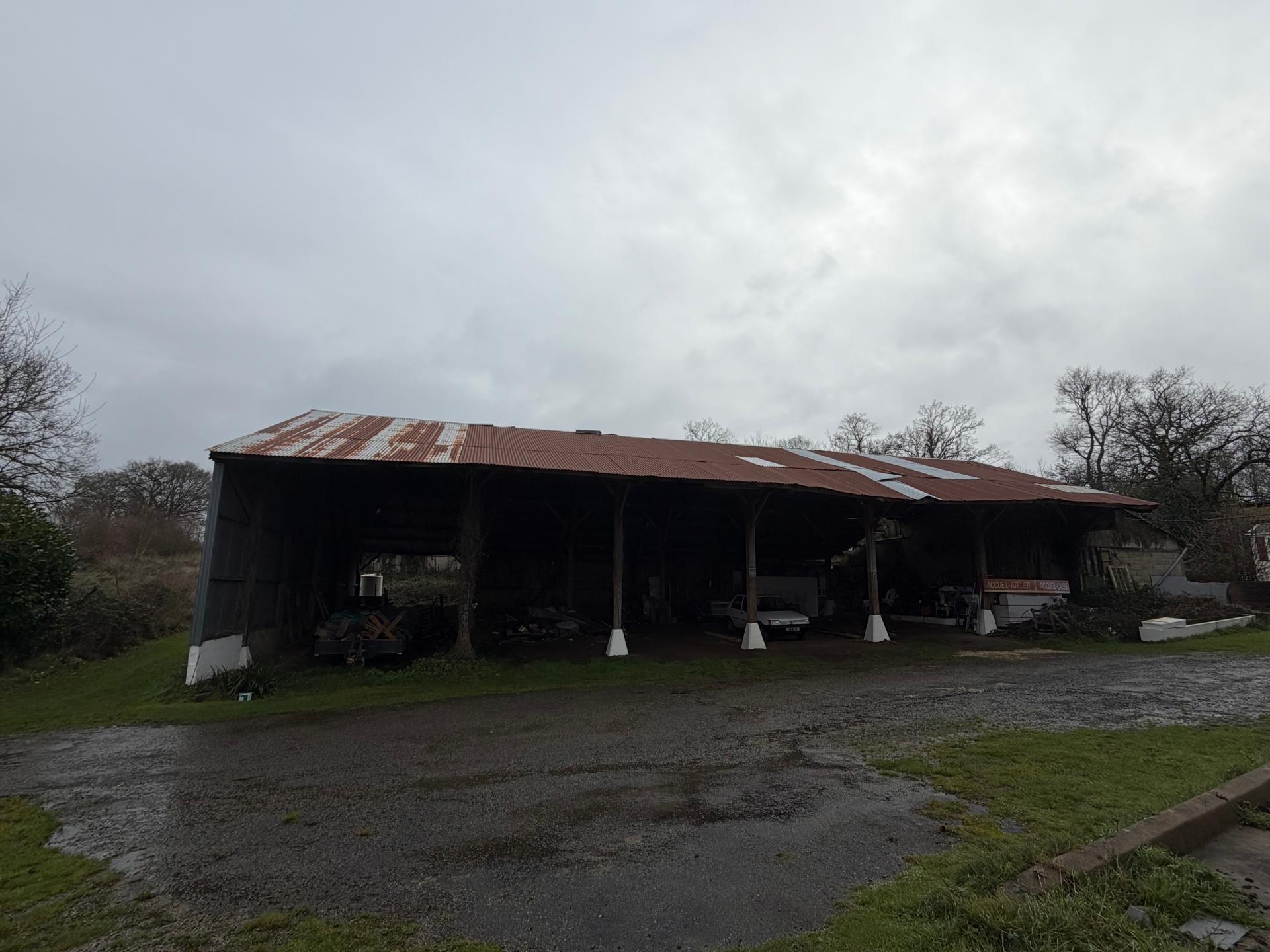 Miniature photo - 17 / 19