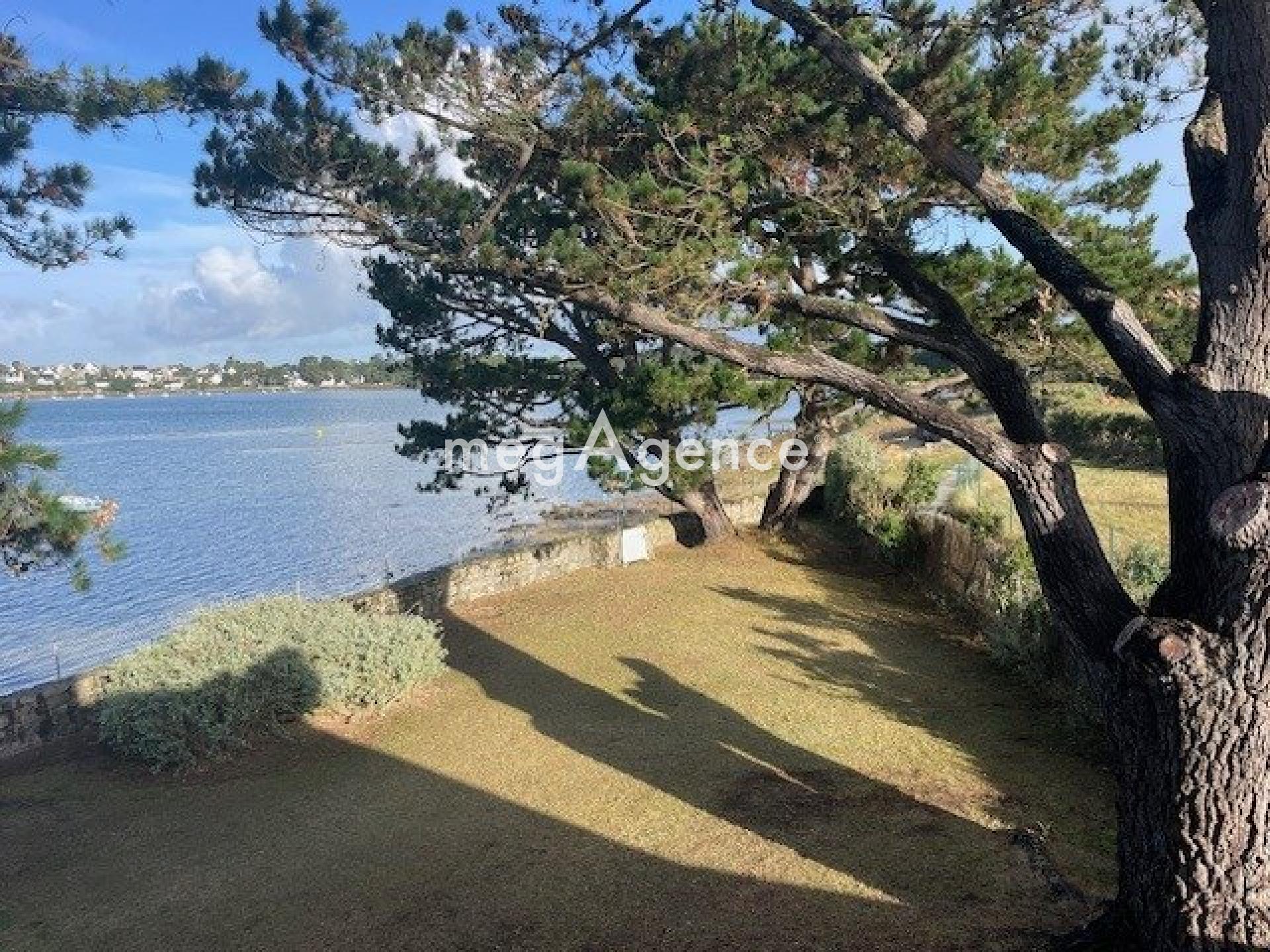 Miniature photo - 5 / 13