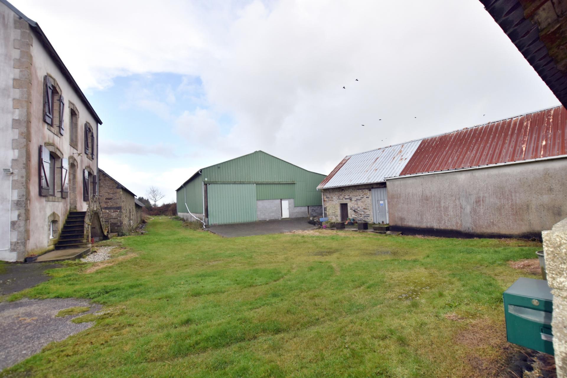 Miniature photo - 7 / 10