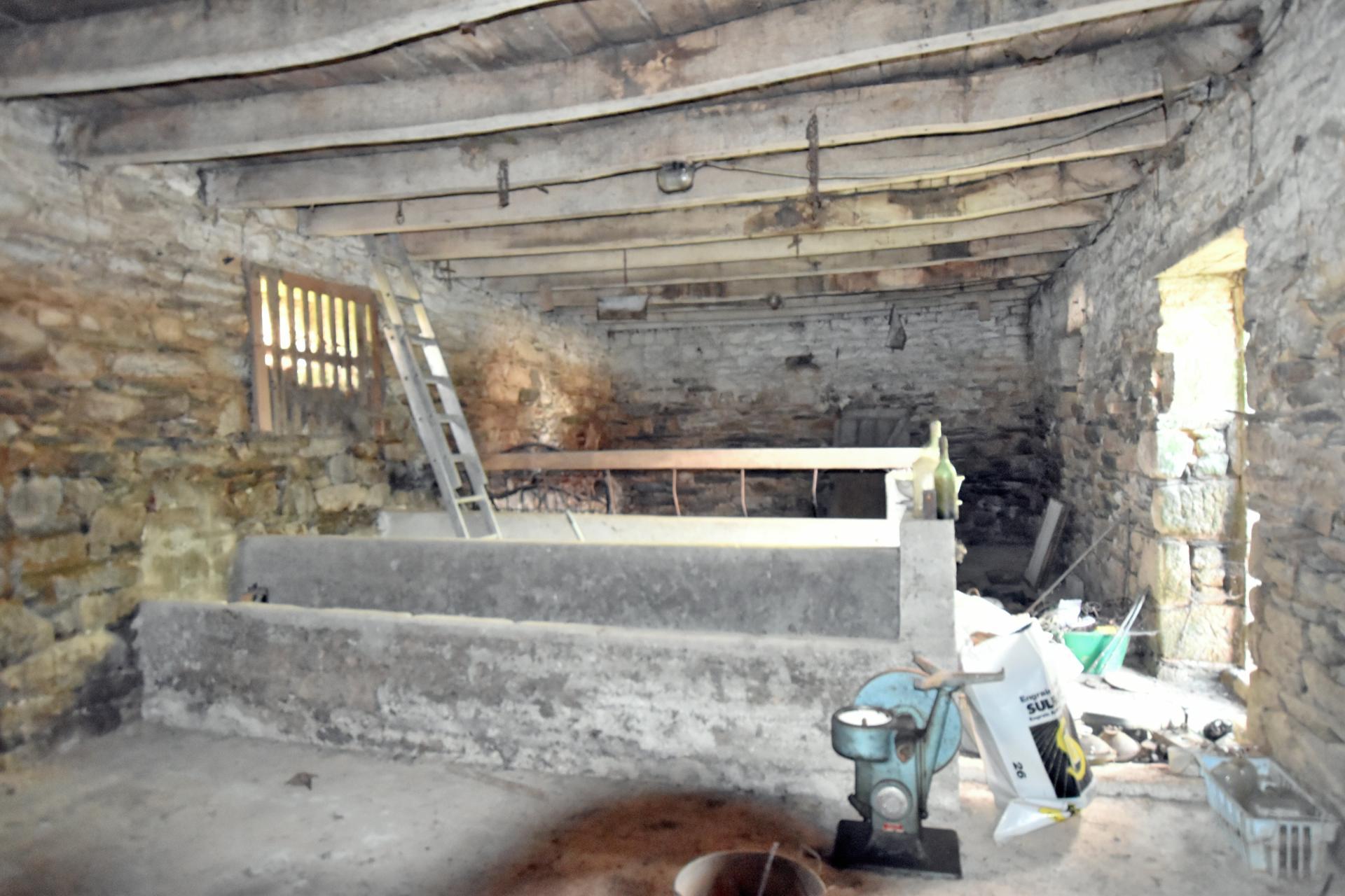 Miniature photo - 10 / 10