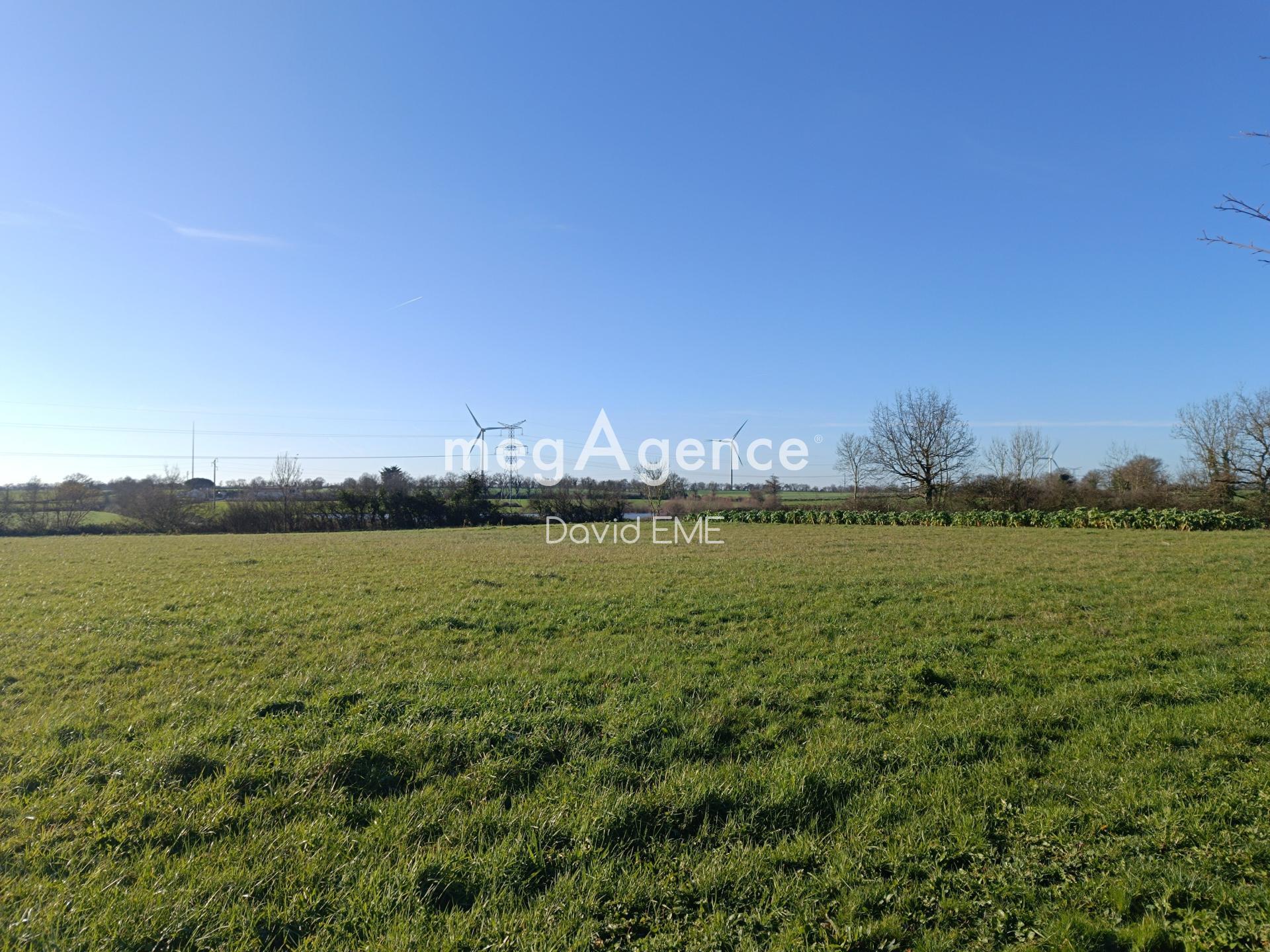 Miniature photo - 14 / 14