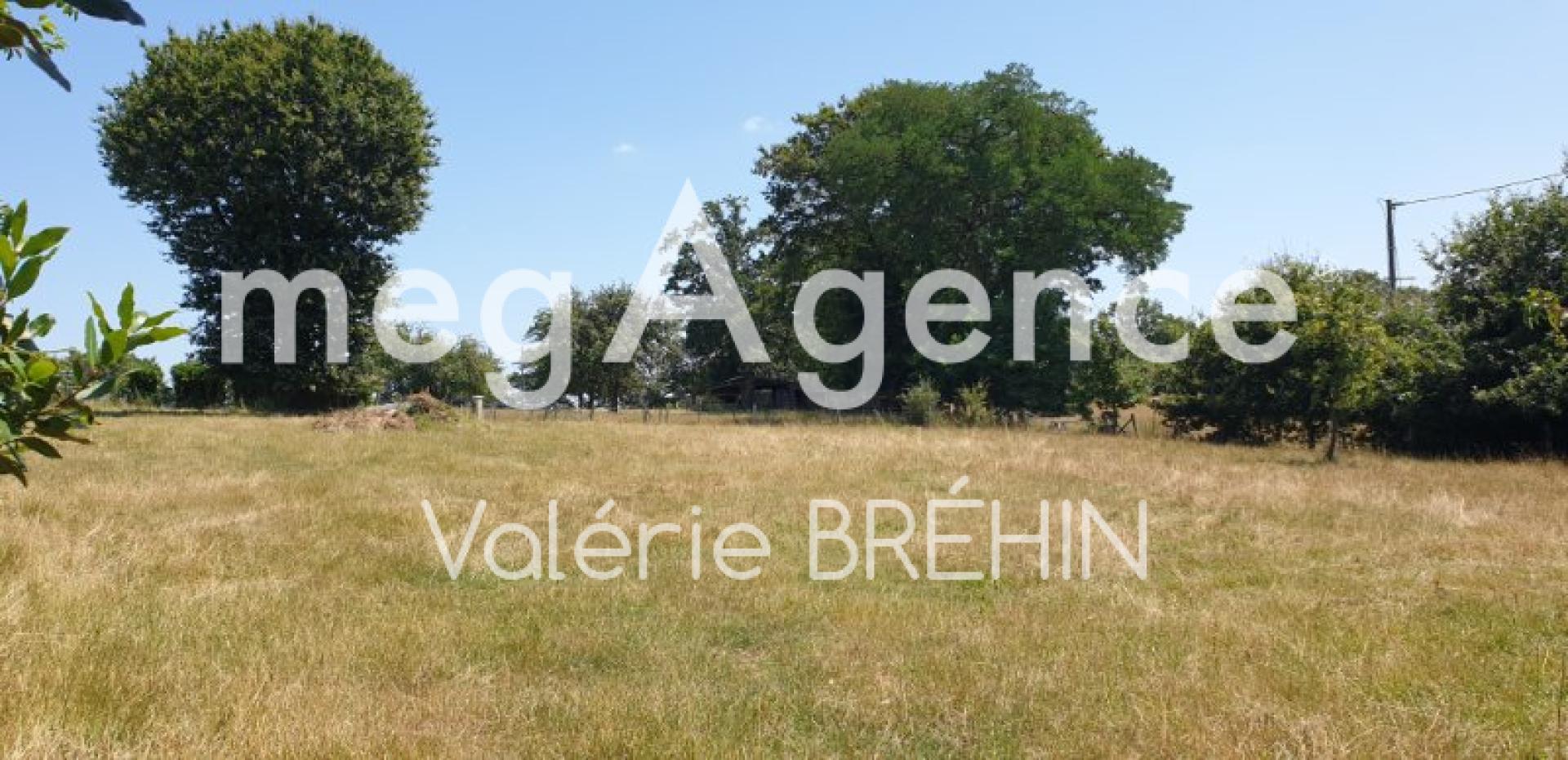 Miniature photo - 7 / 7