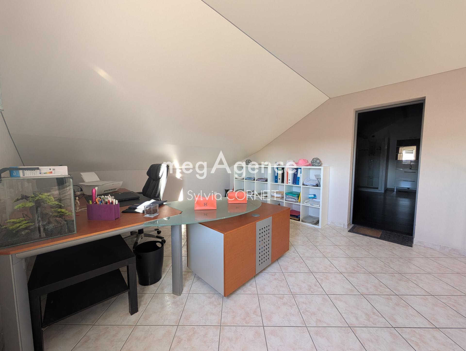 Miniature photo - 10 / 10