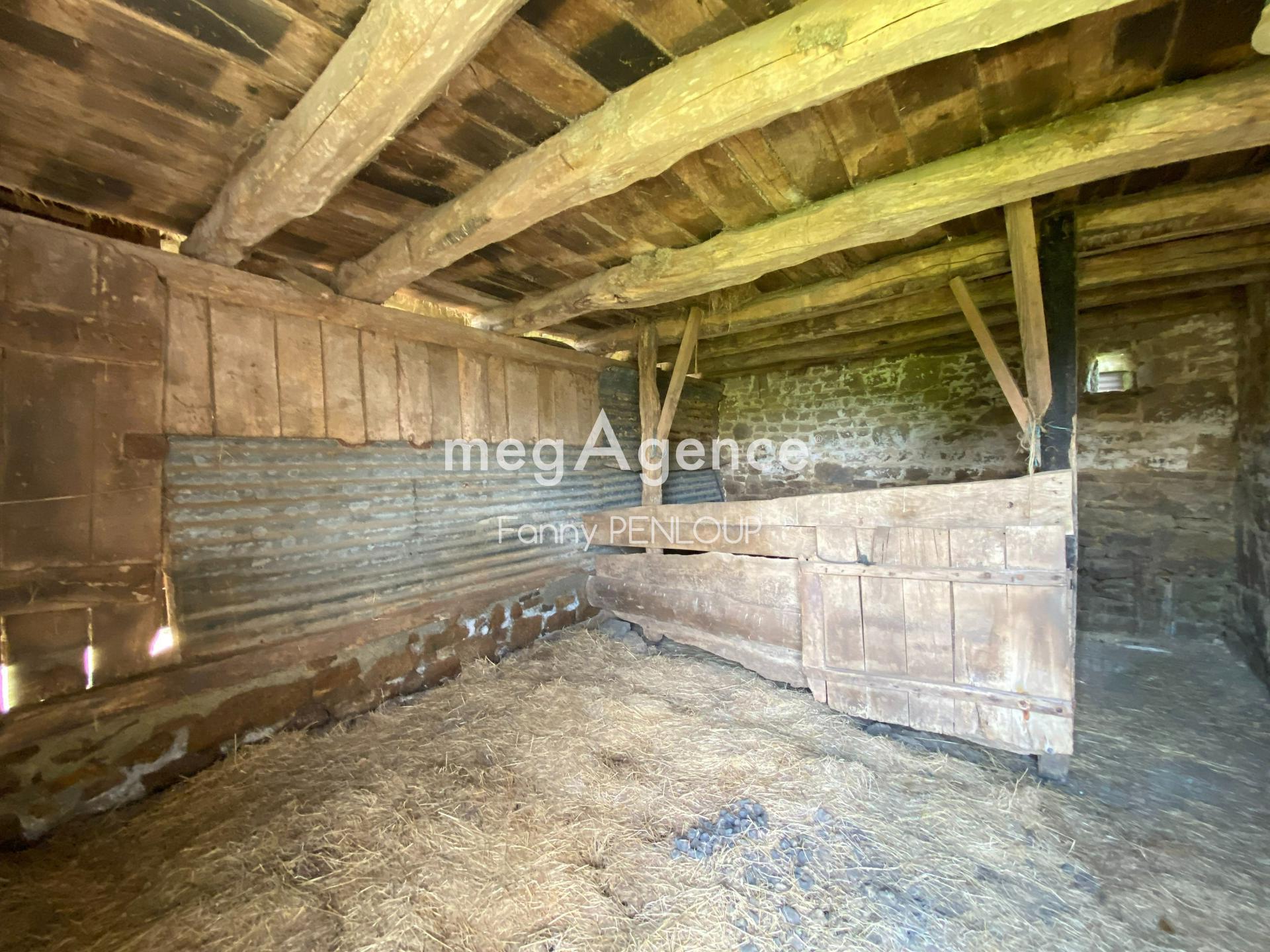 Miniature photo - 2 / 3