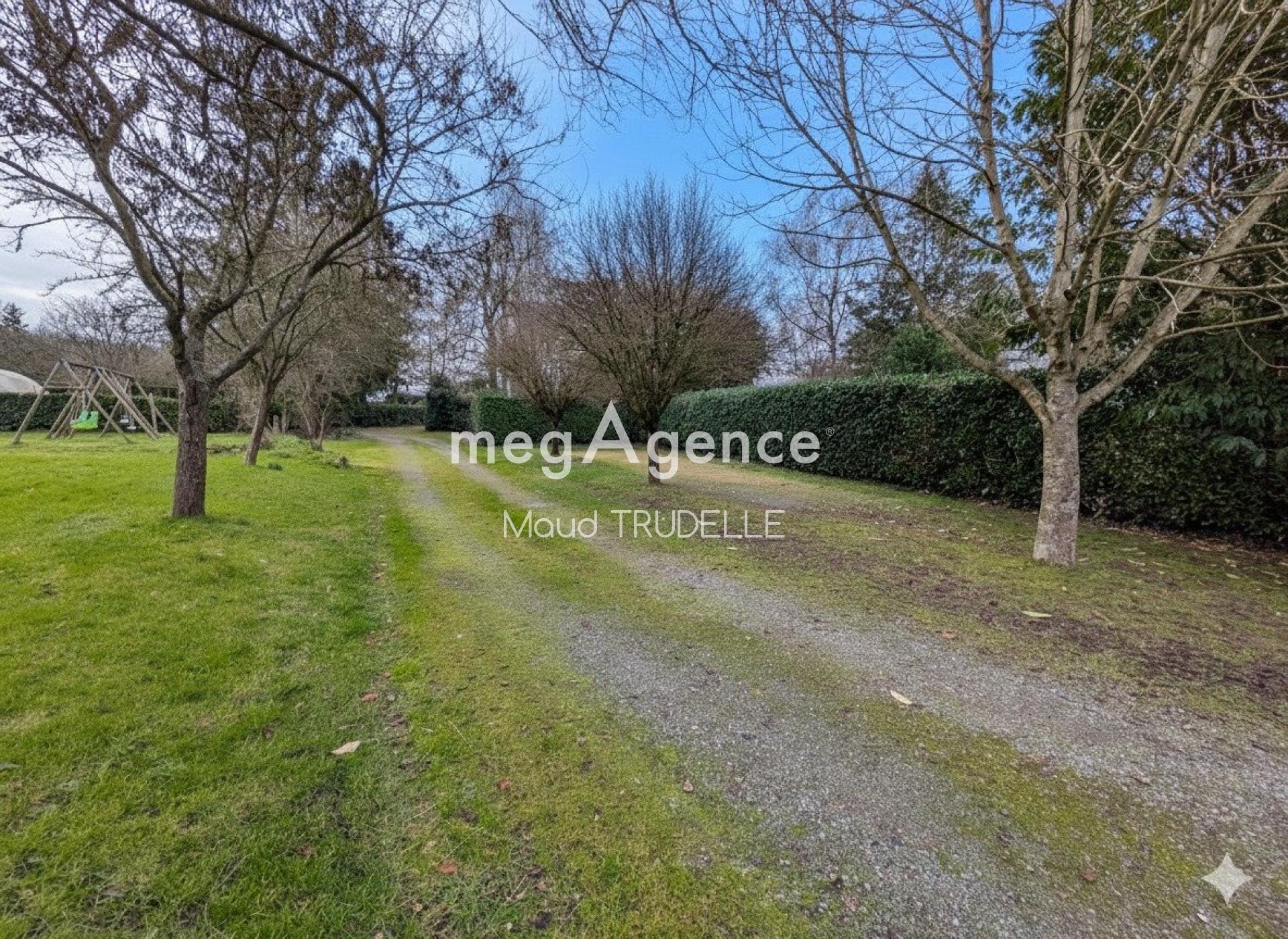 Miniature photo - 4 / 12