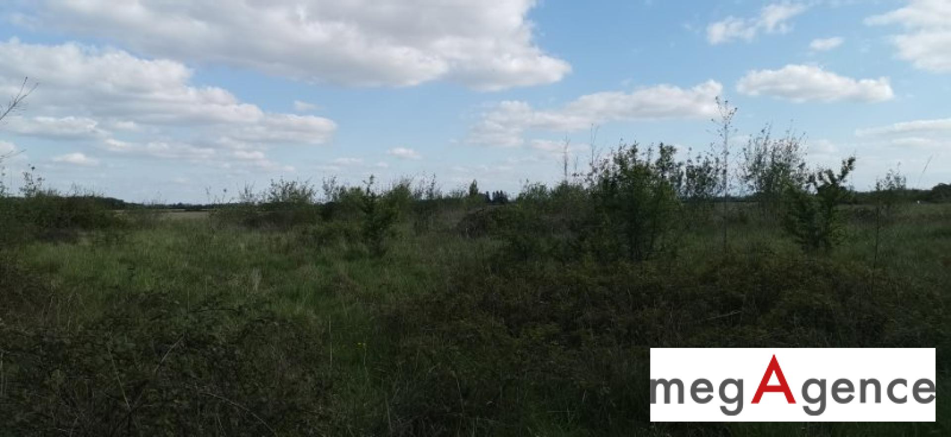 Miniature photo - 7 / 7