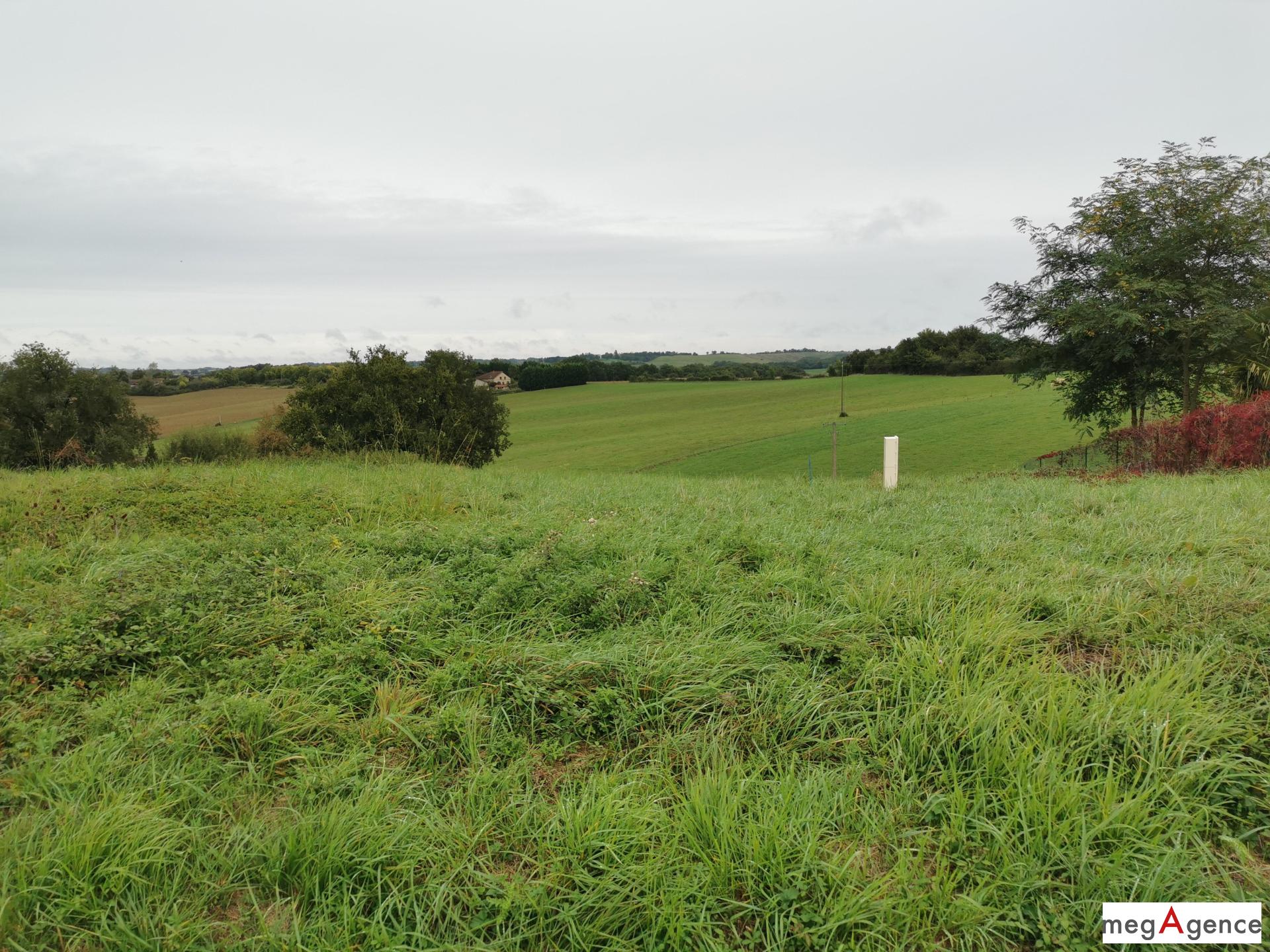 Miniature photo - 8 / 10