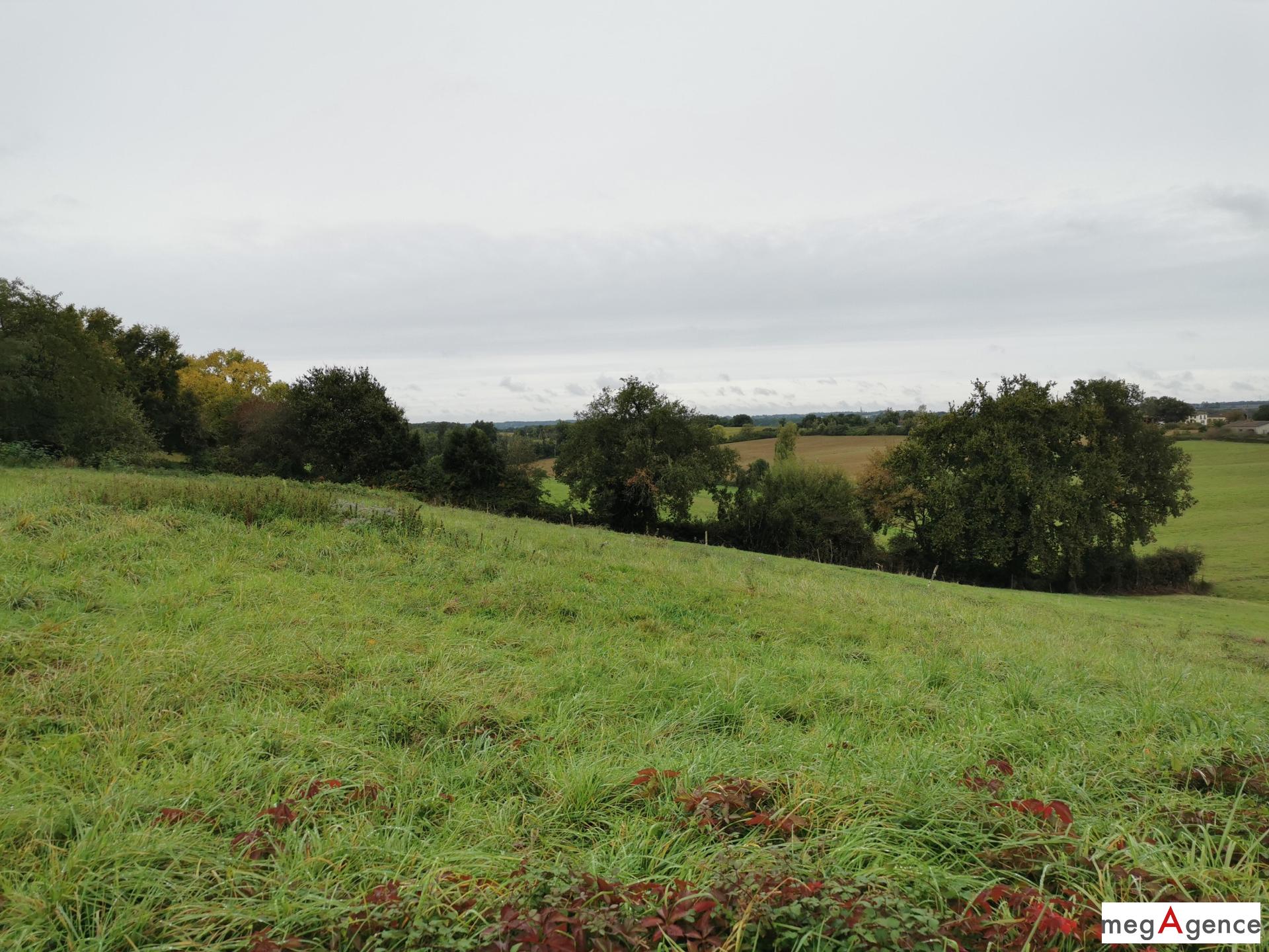 Miniature photo - 5 / 10