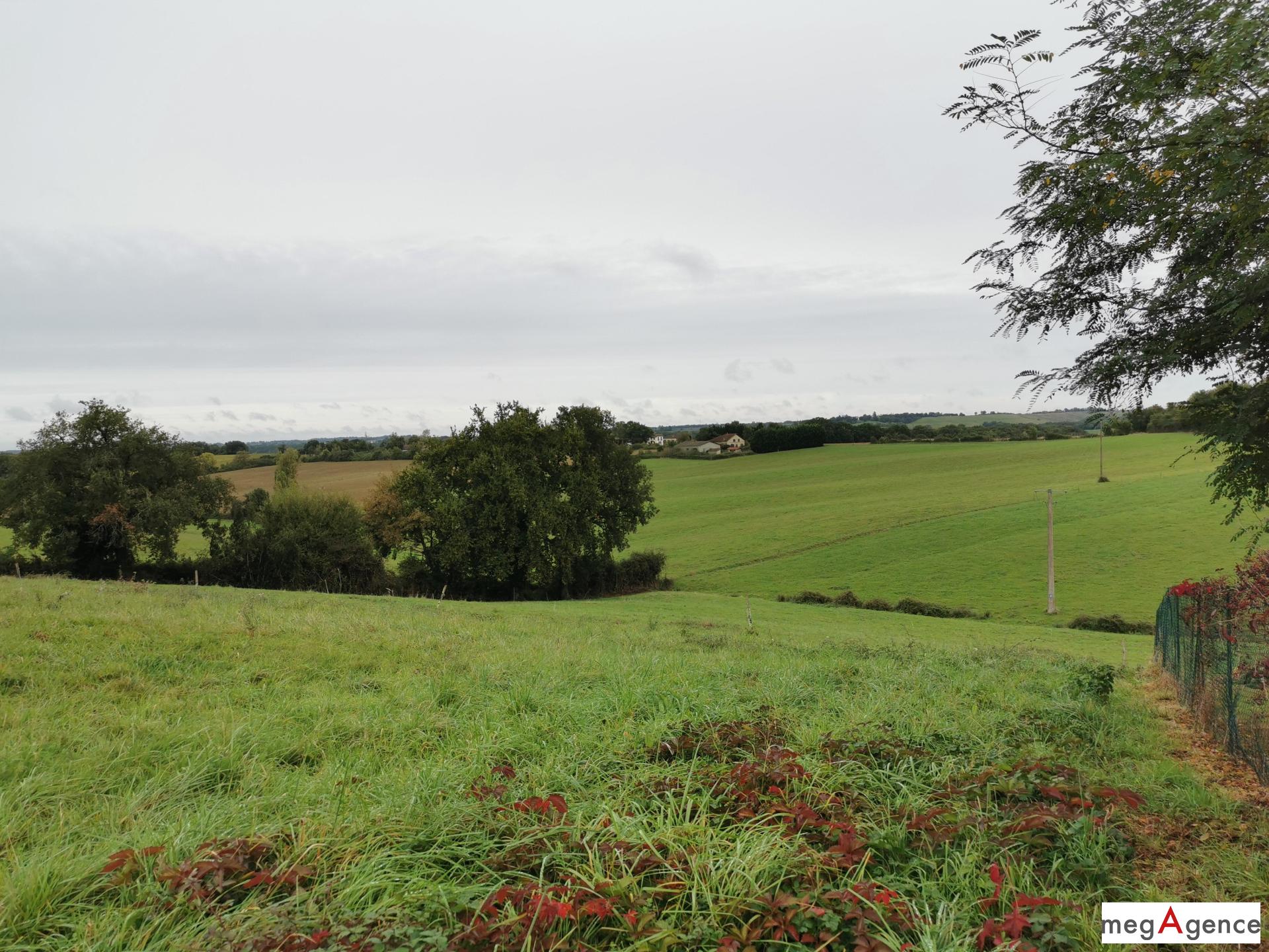 Miniature photo - 7 / 10