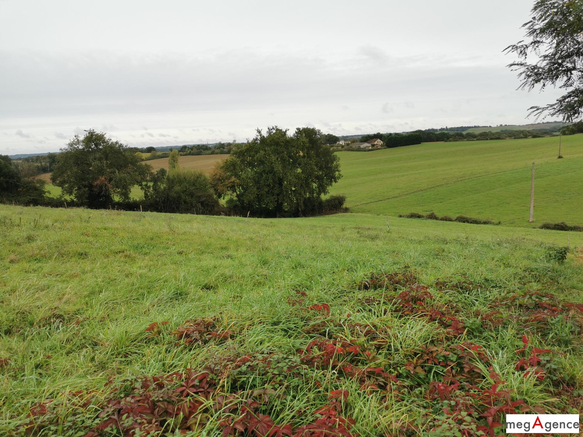 Miniature photo - 9 / 10