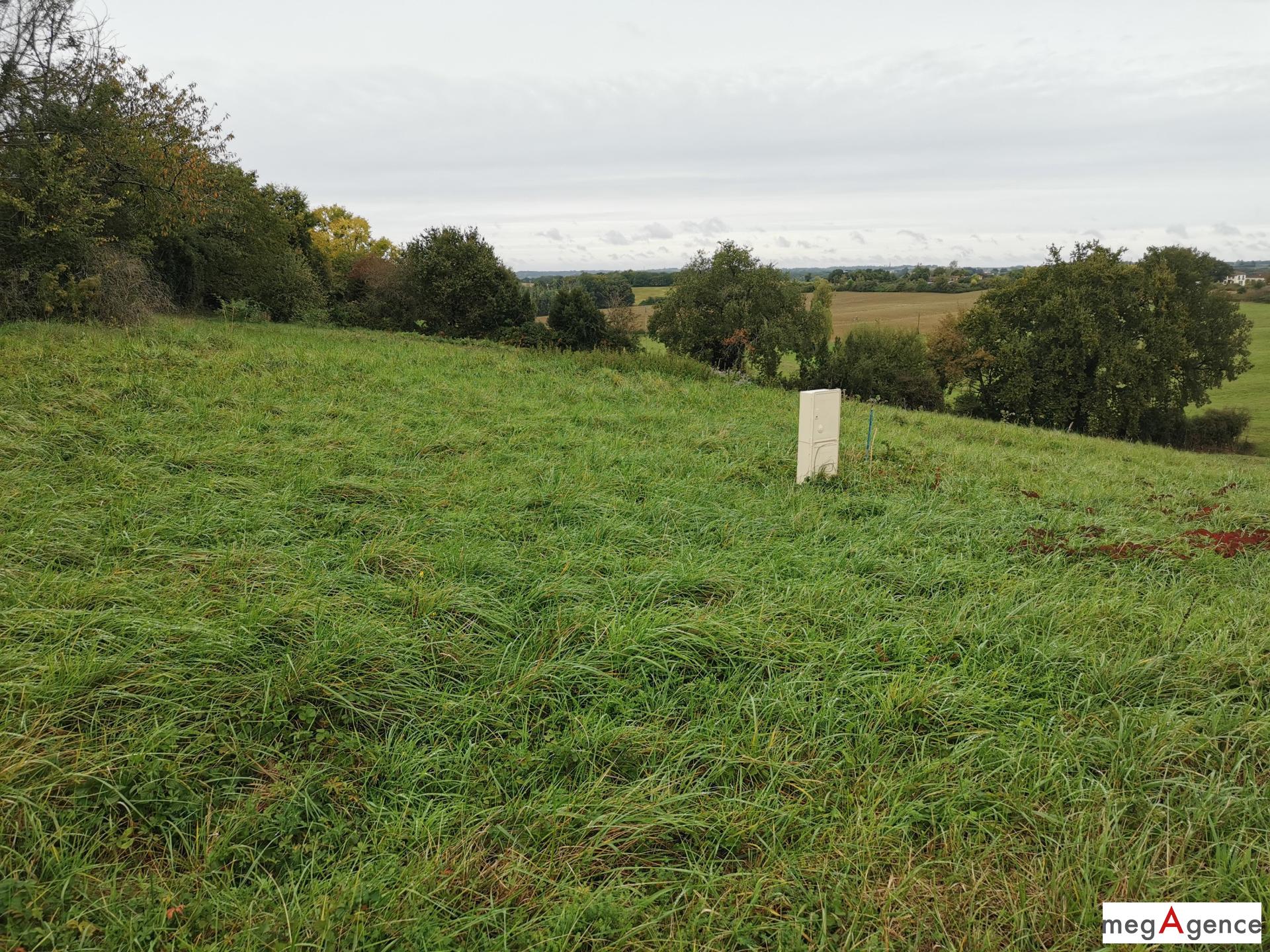 Miniature photo - 3 / 10