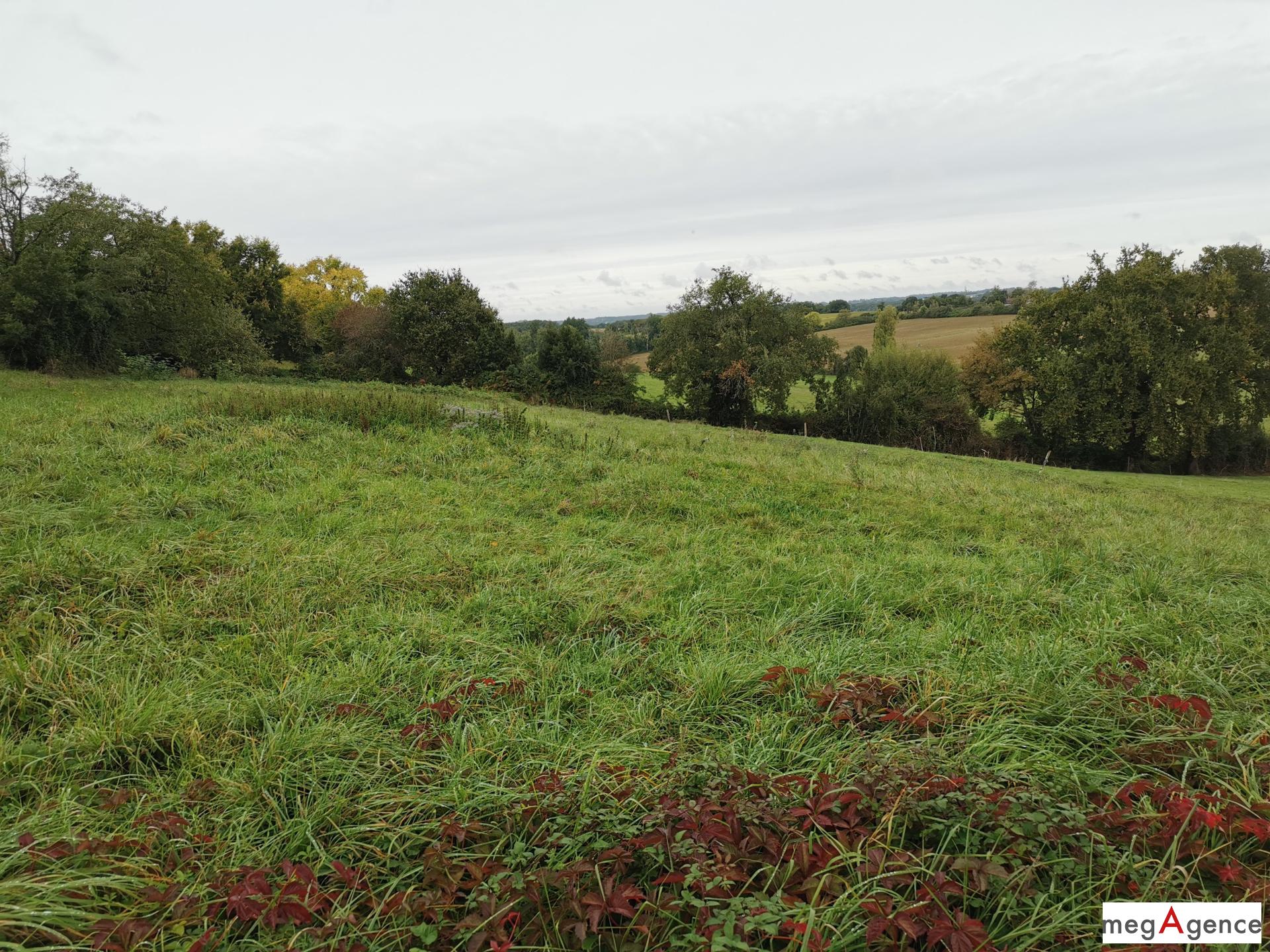 Miniature photo - 6 / 10