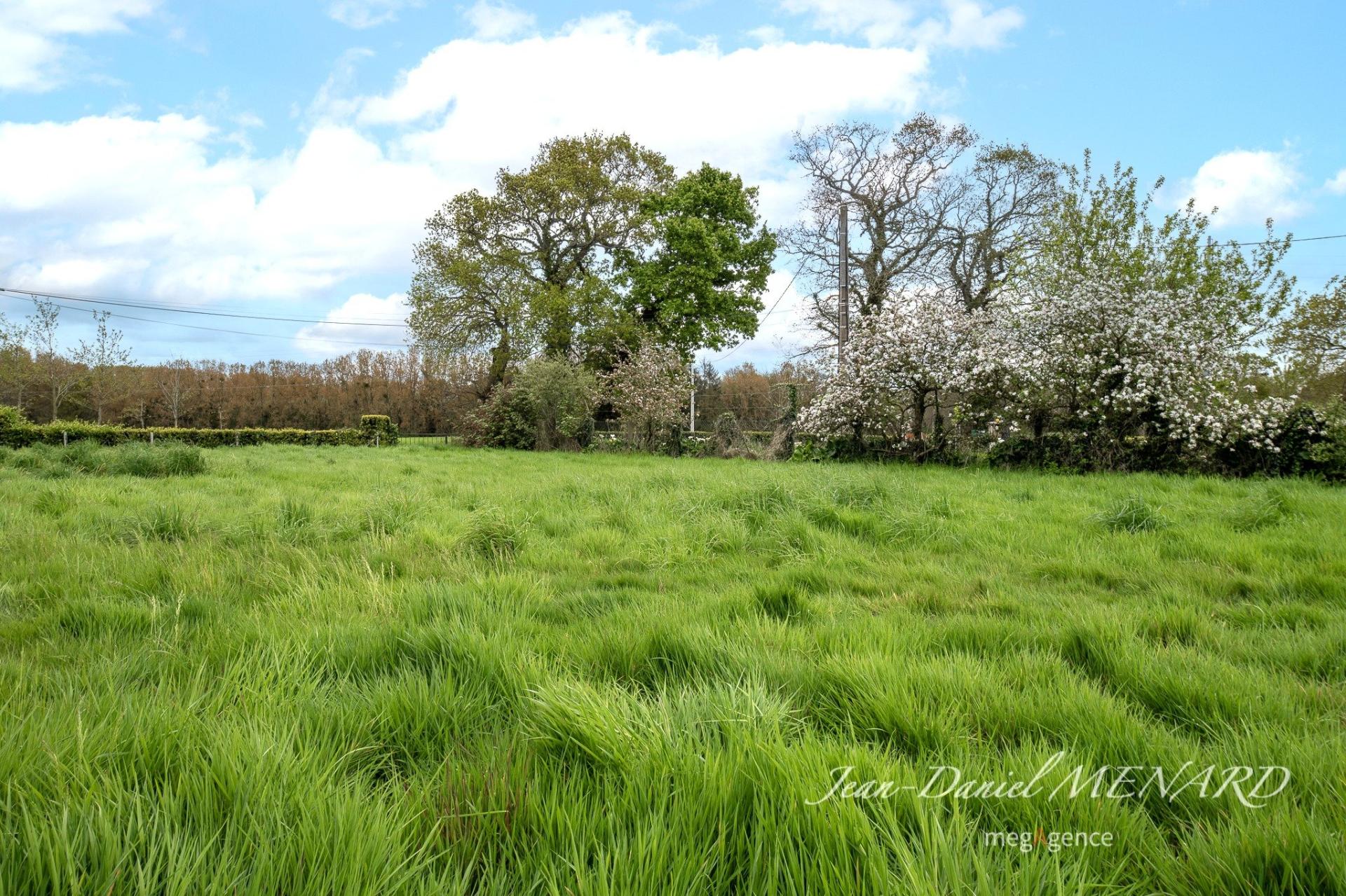 Photographie descriptive du bien