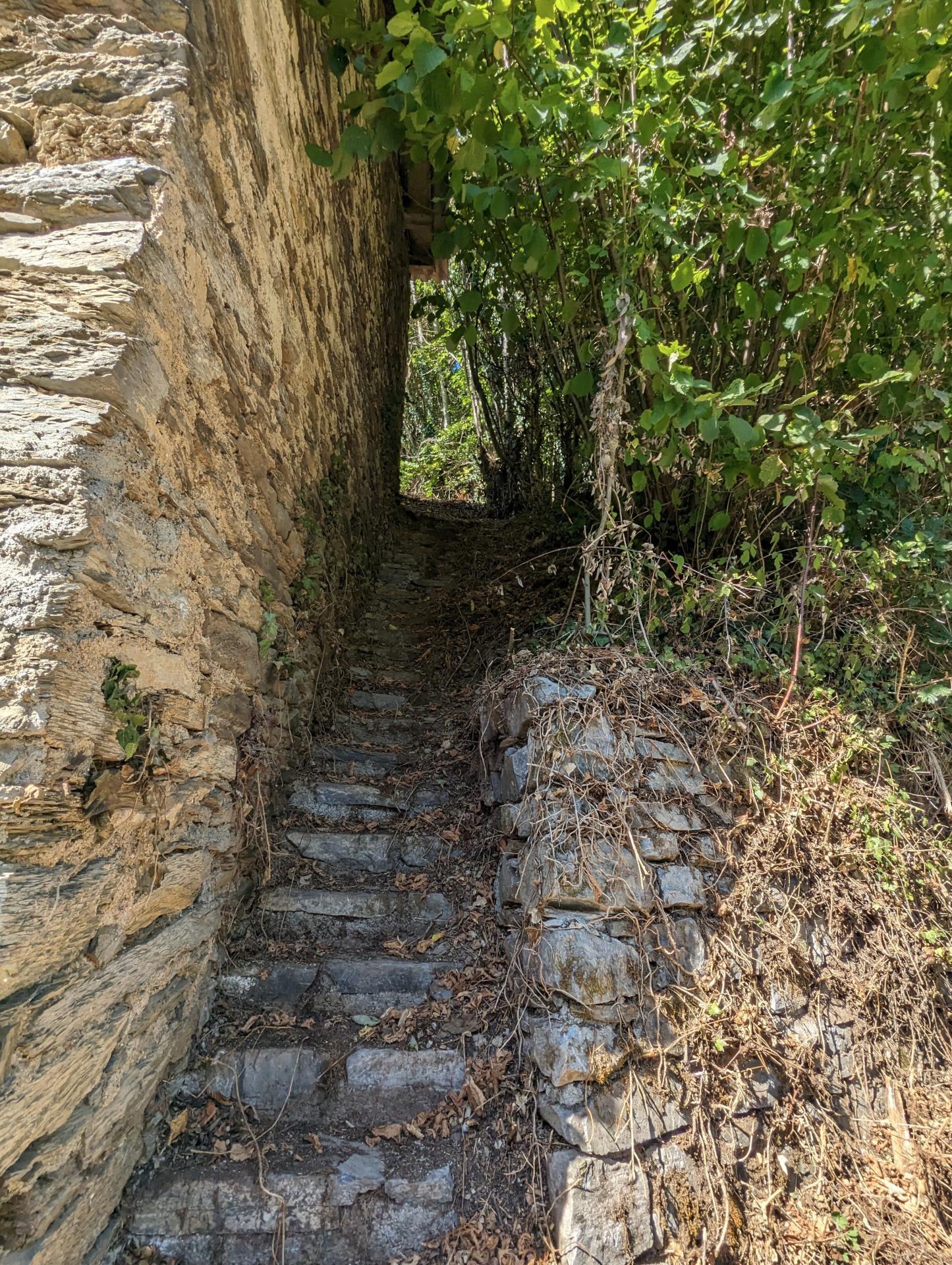 Miniature photo - 8 / 9