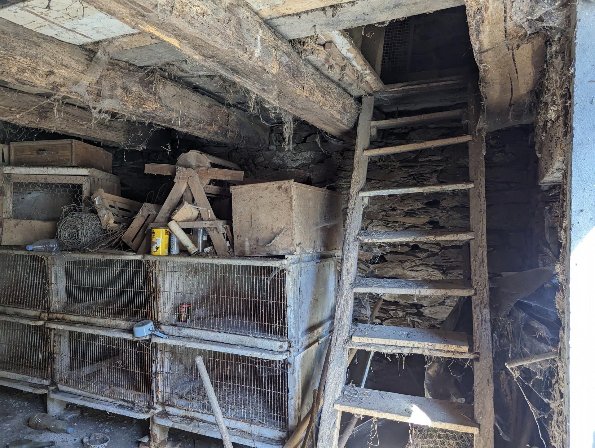 Miniature photo - 5 / 9