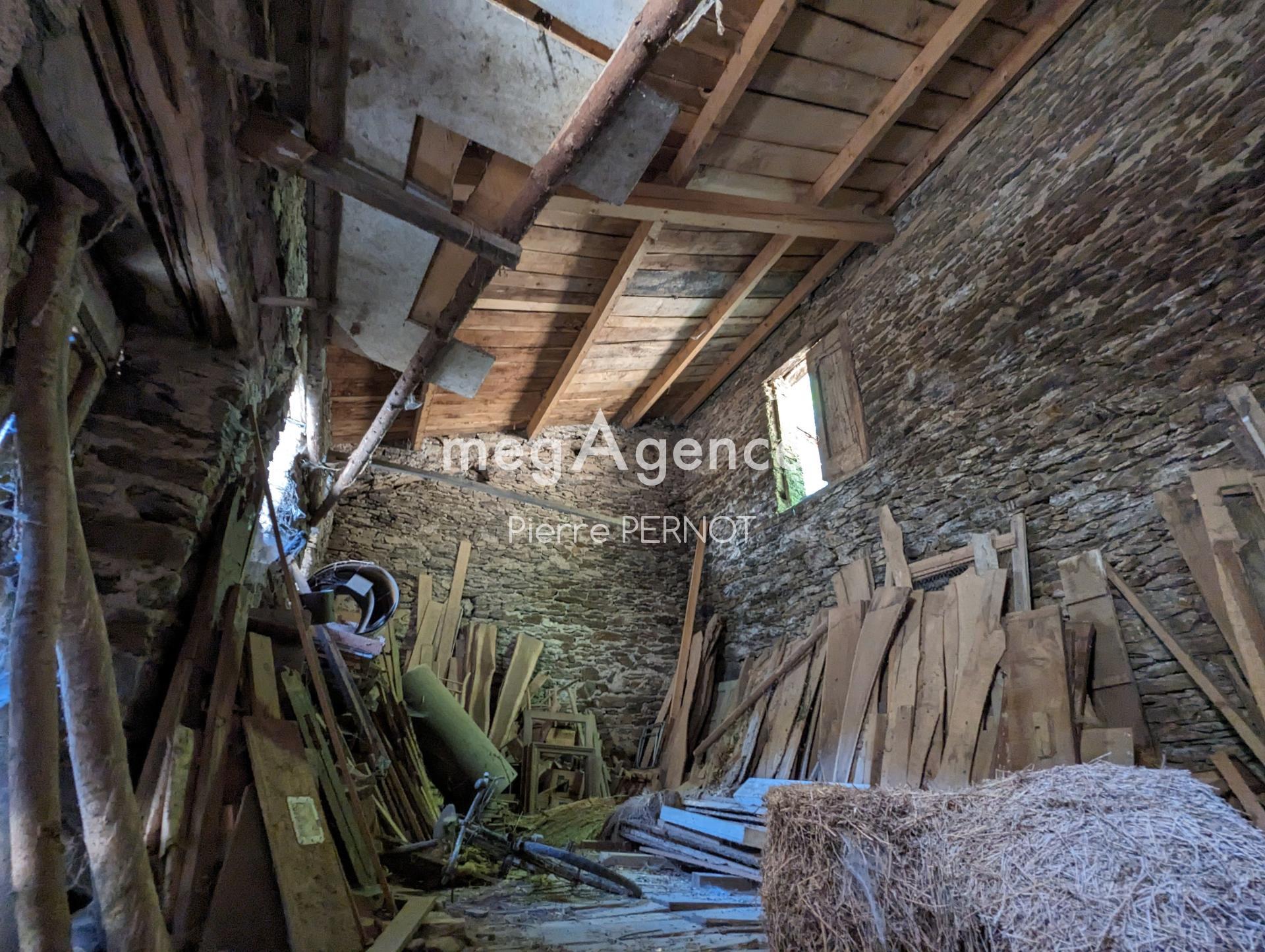 Miniature photo - 4 / 9