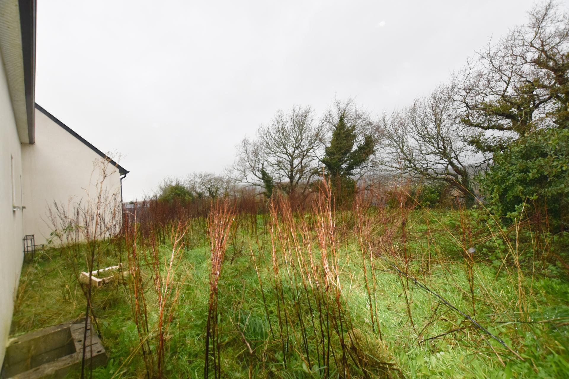 Miniature photo - 11 / 11