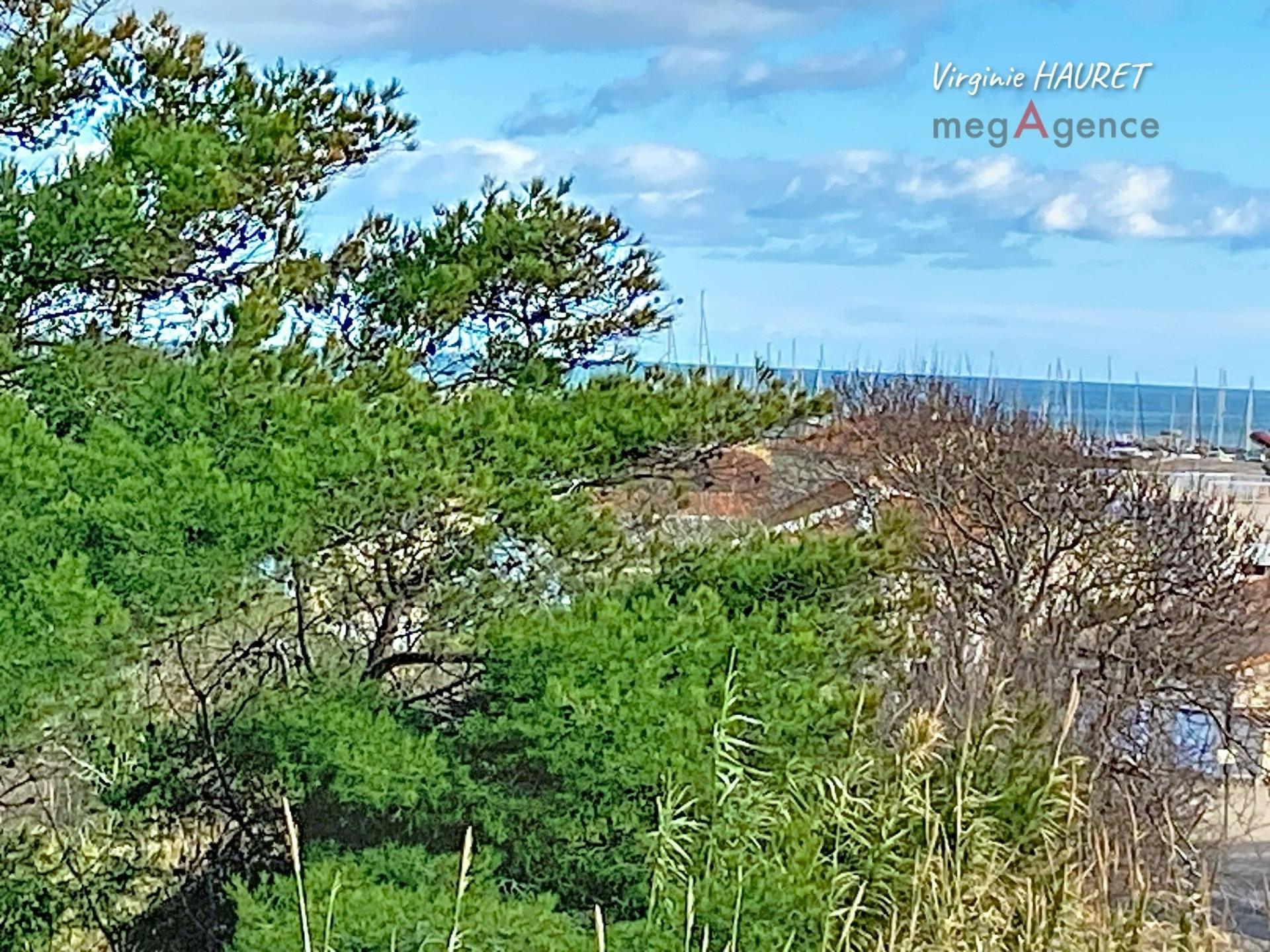 Miniature photo - 14 / 14