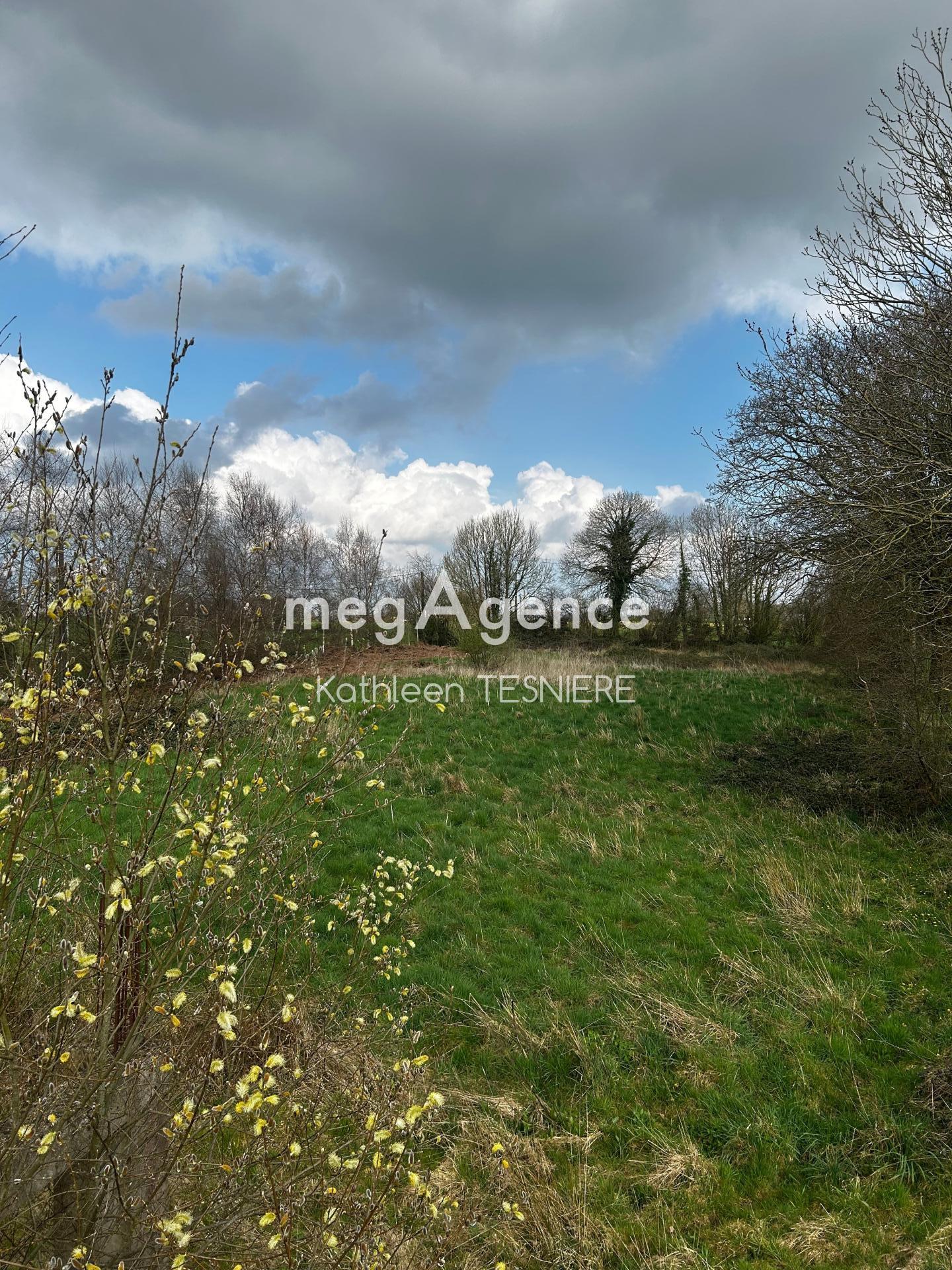 Miniature photo - 8 / 8