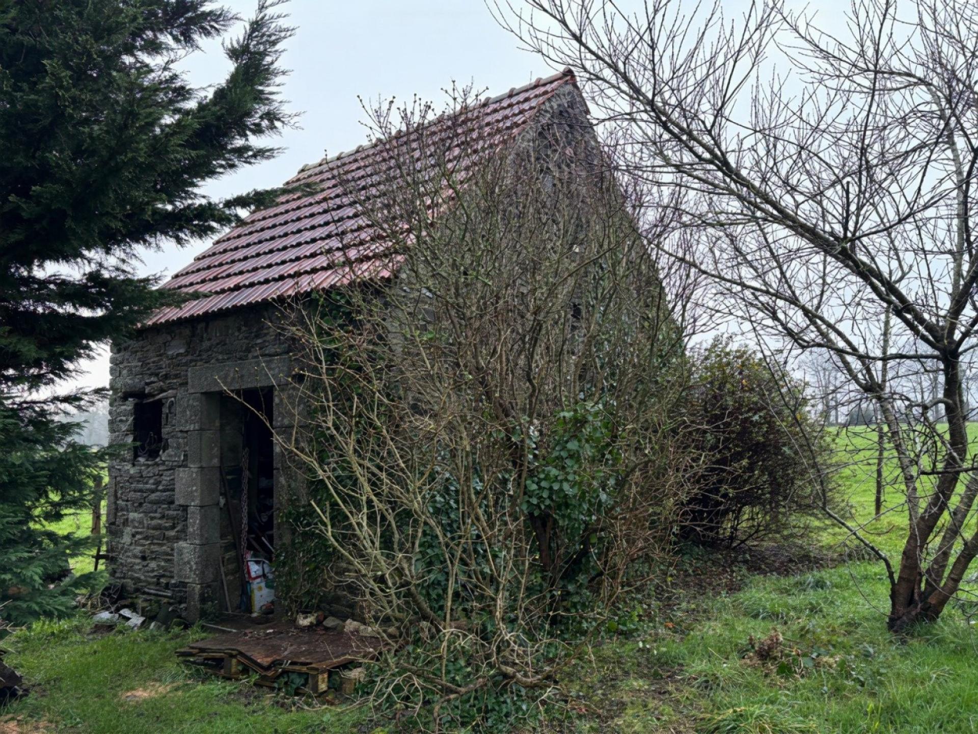 Miniature photo - 7 / 19