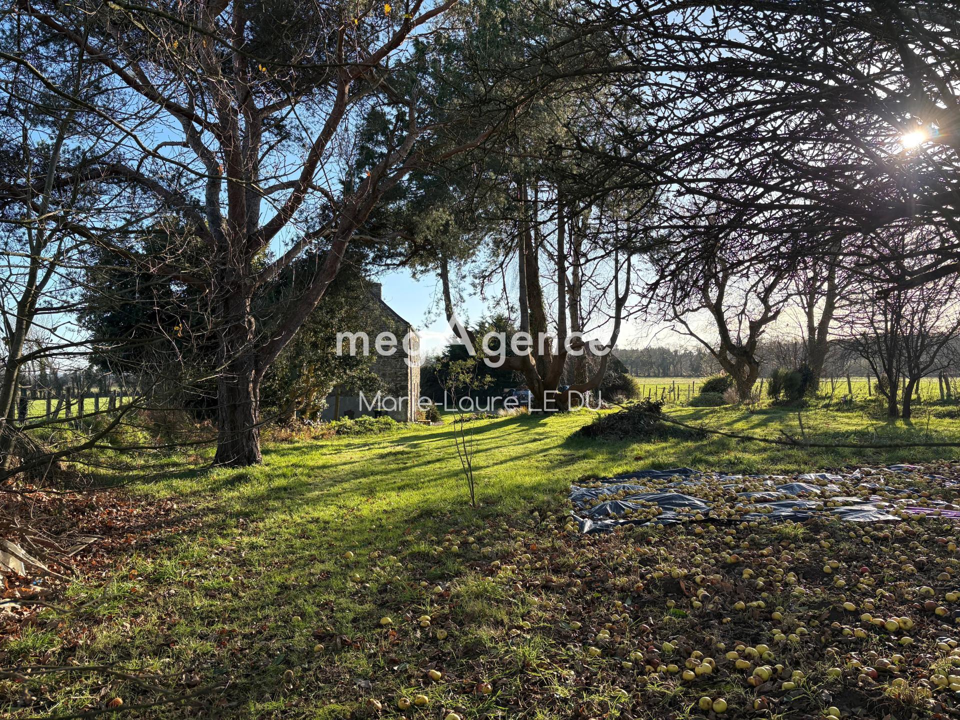 Miniature photo - 2 / 19