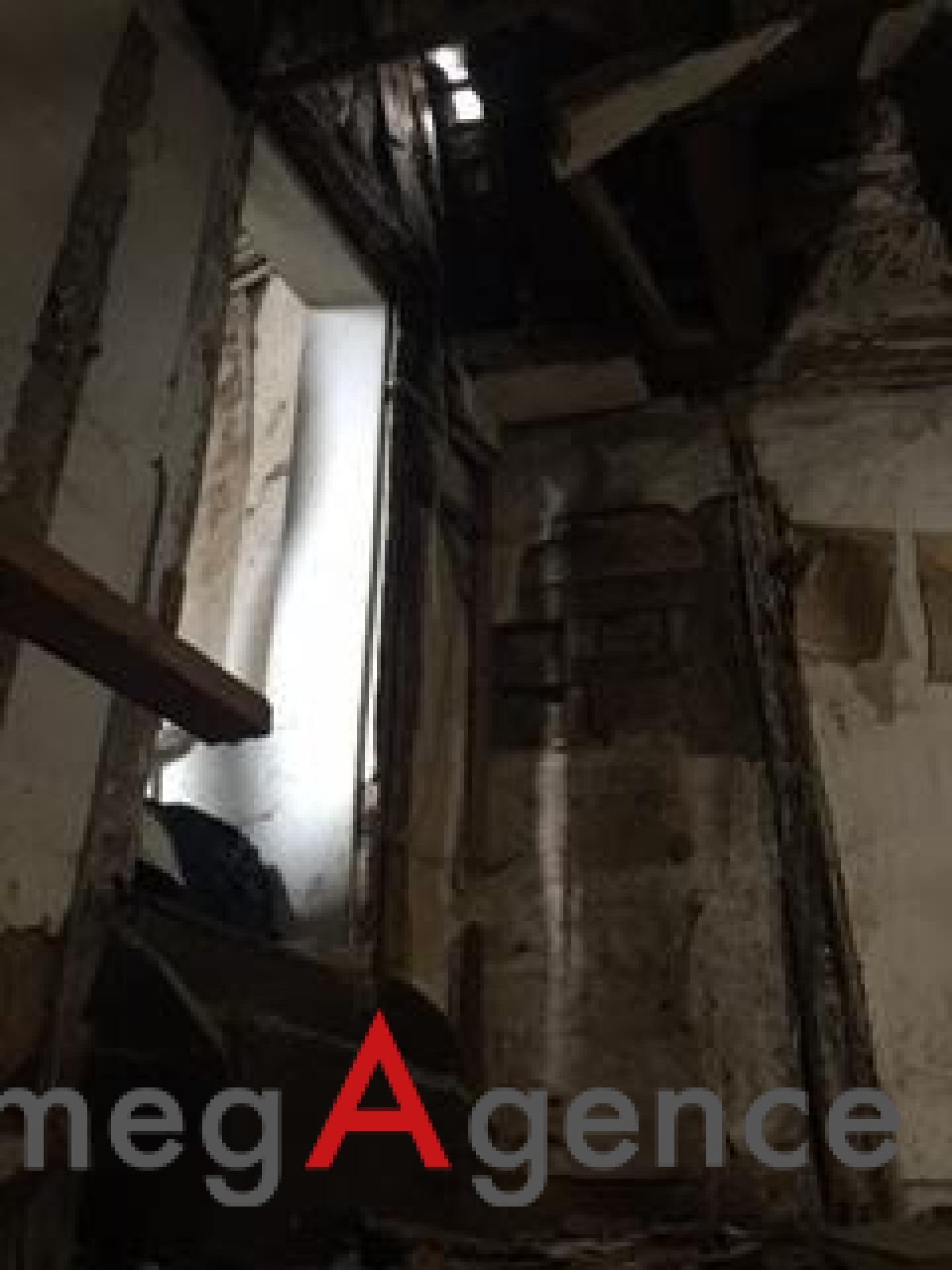 Miniature photo - 3 / 3