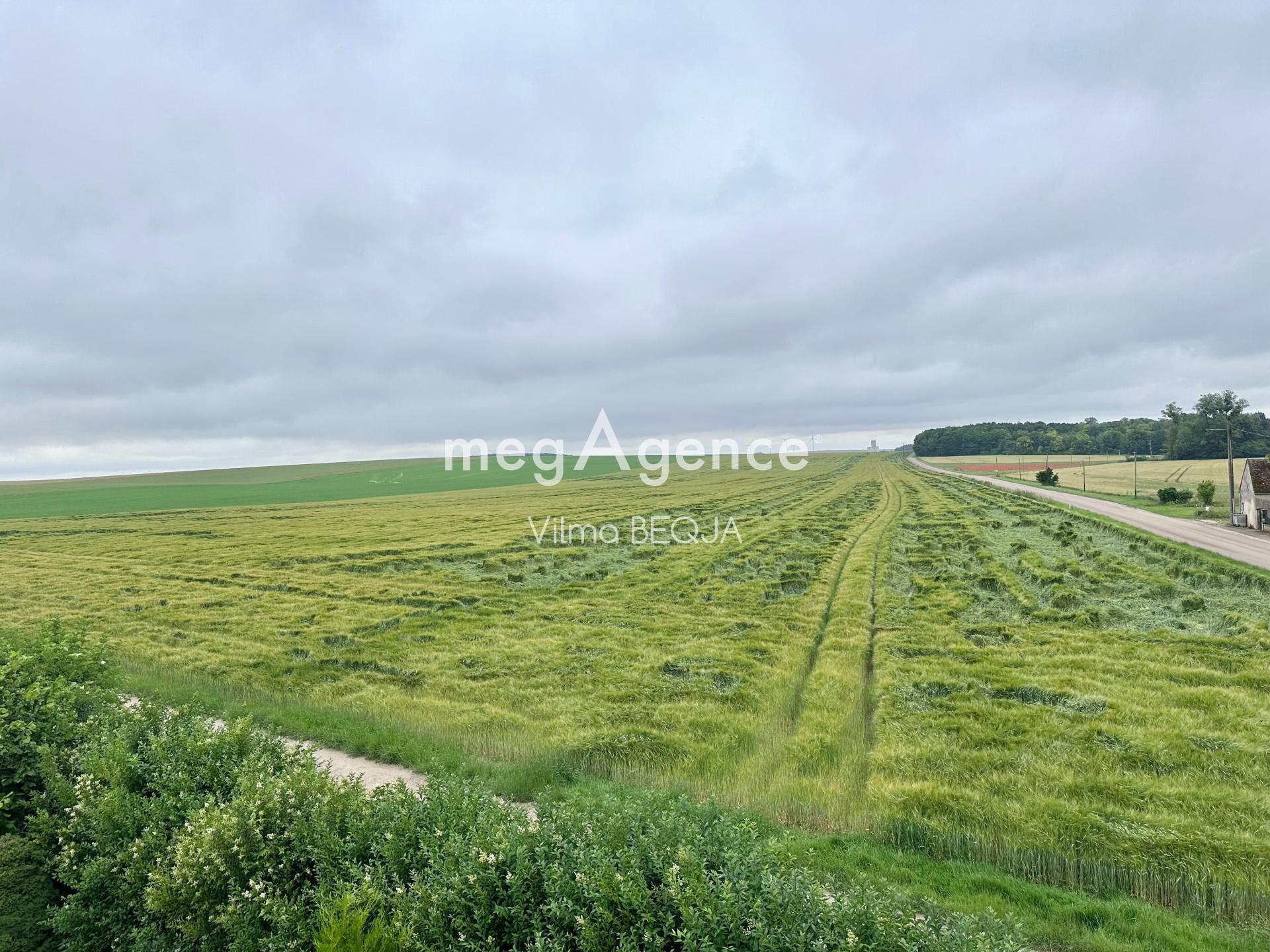 Miniature photo - 8 / 15