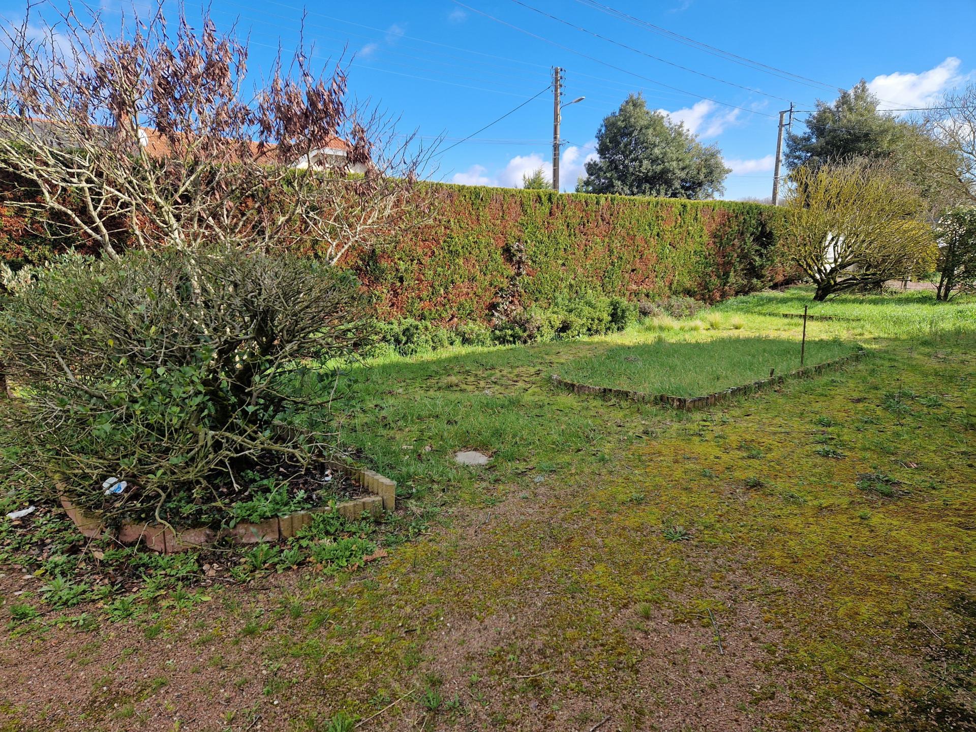 Miniature photo - 11 / 12