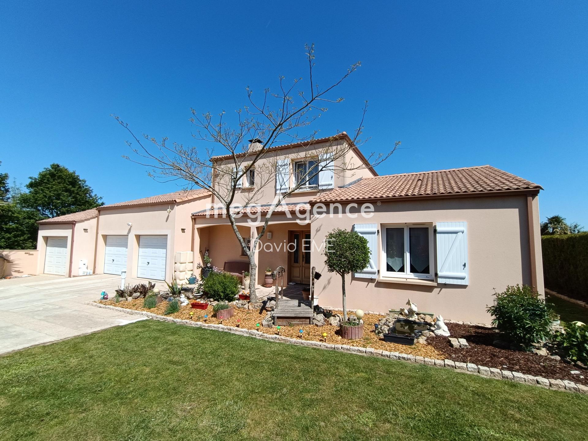 Miniature photo - 13 / 13