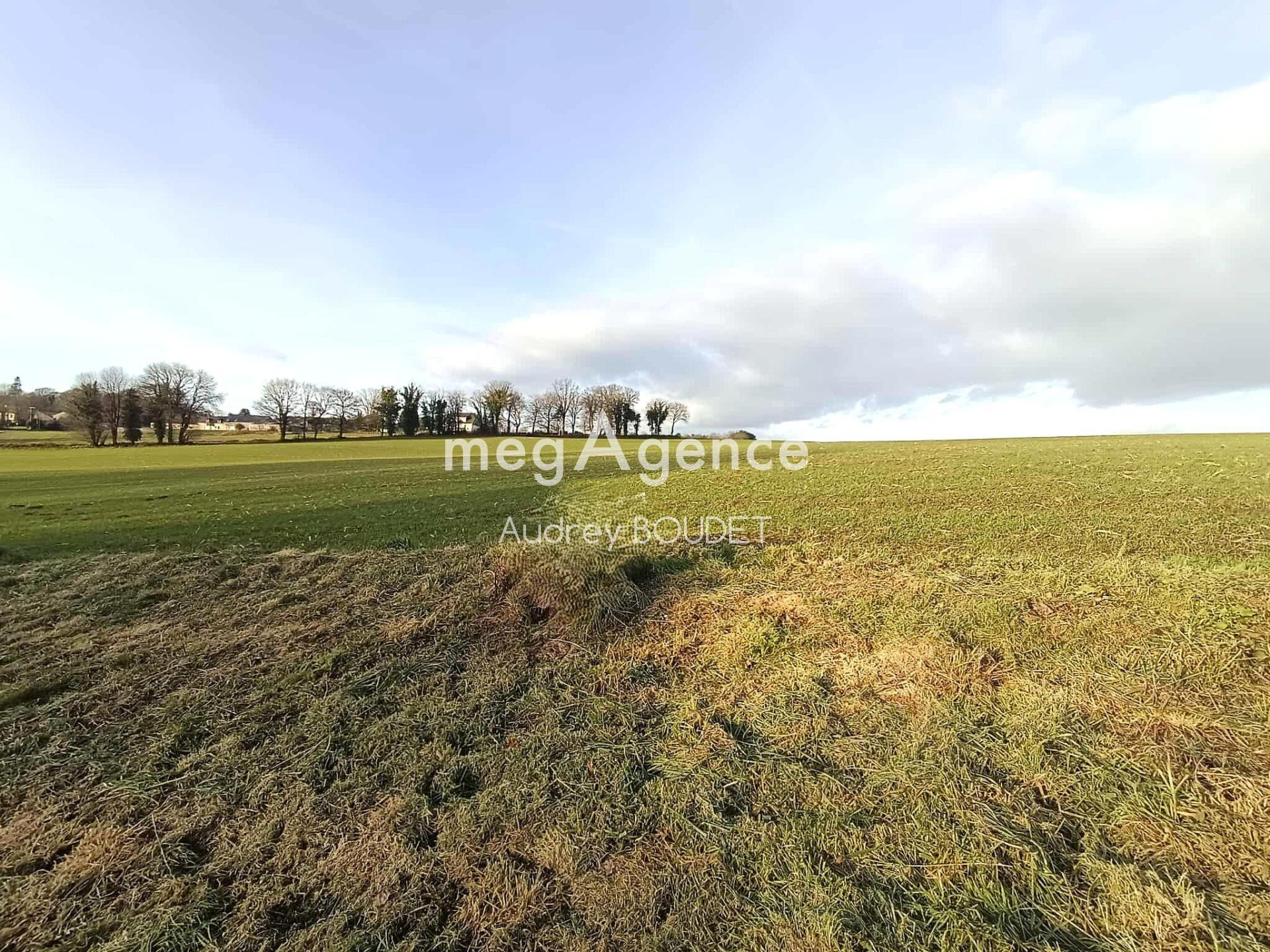 Miniature photo - 13 / 13