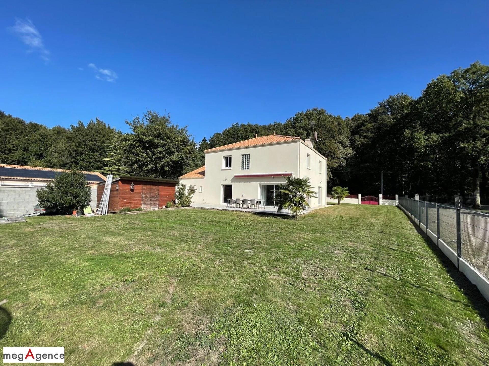 Miniature photo - 11 / 11