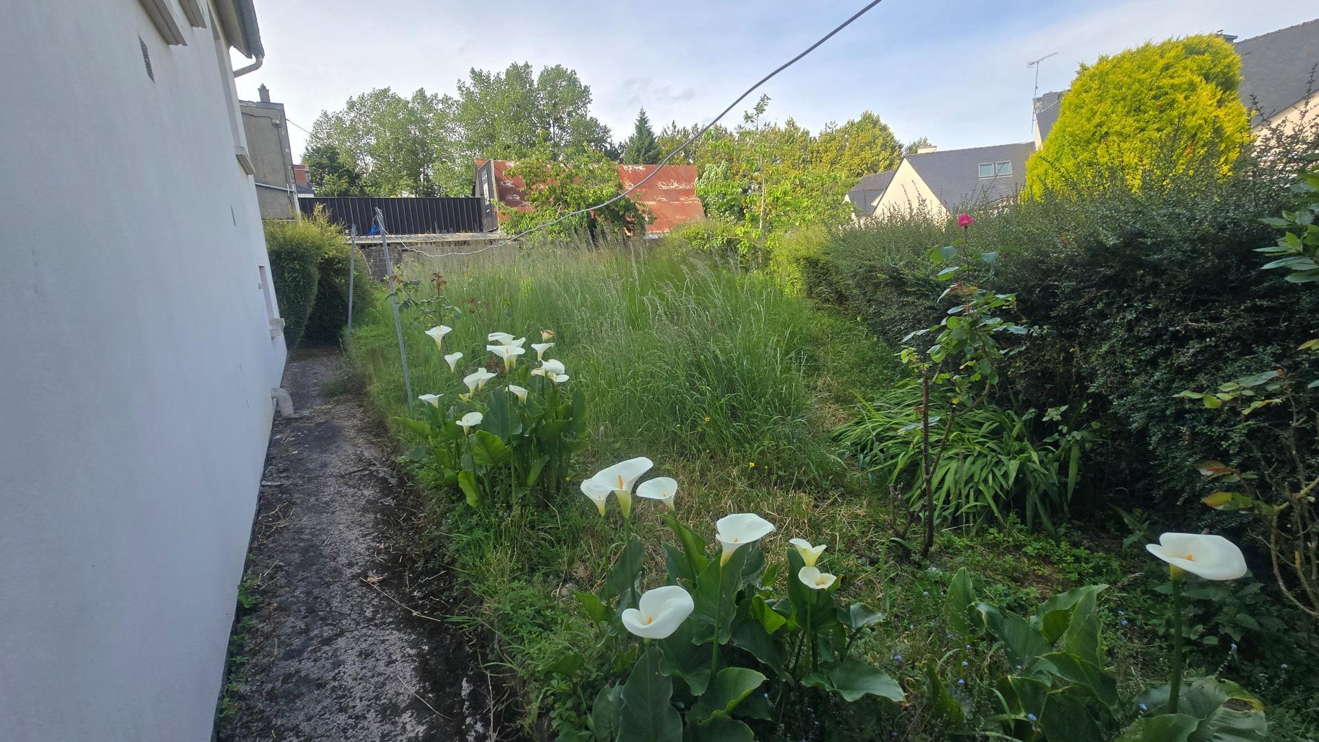 Miniature photo - 13 / 13