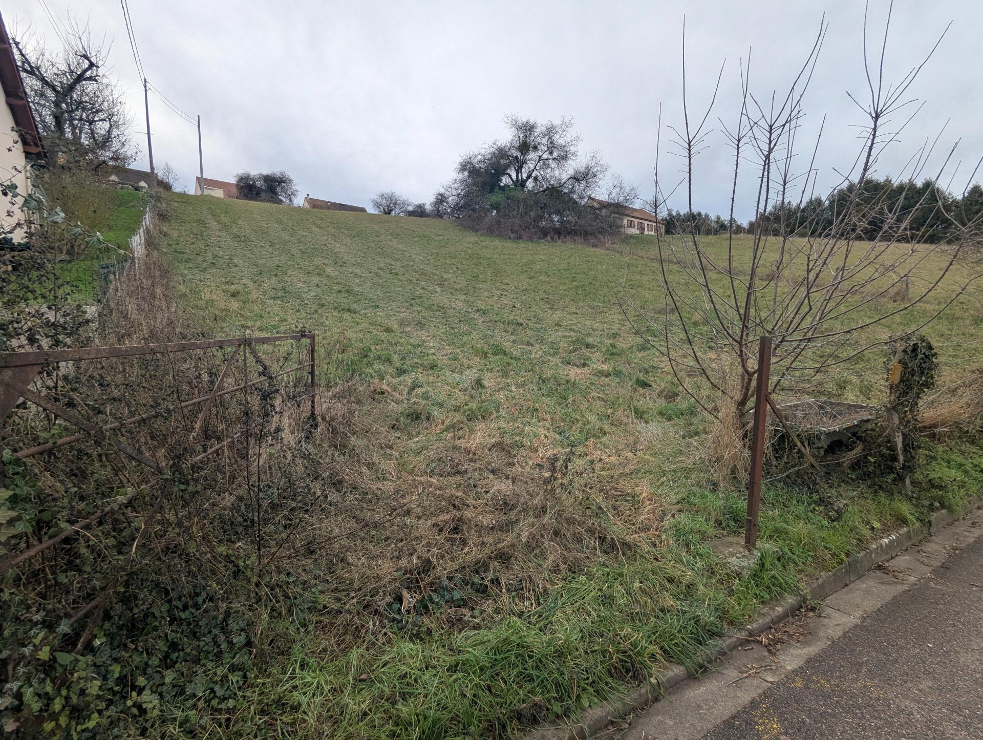 Miniature photo - 2 / 2