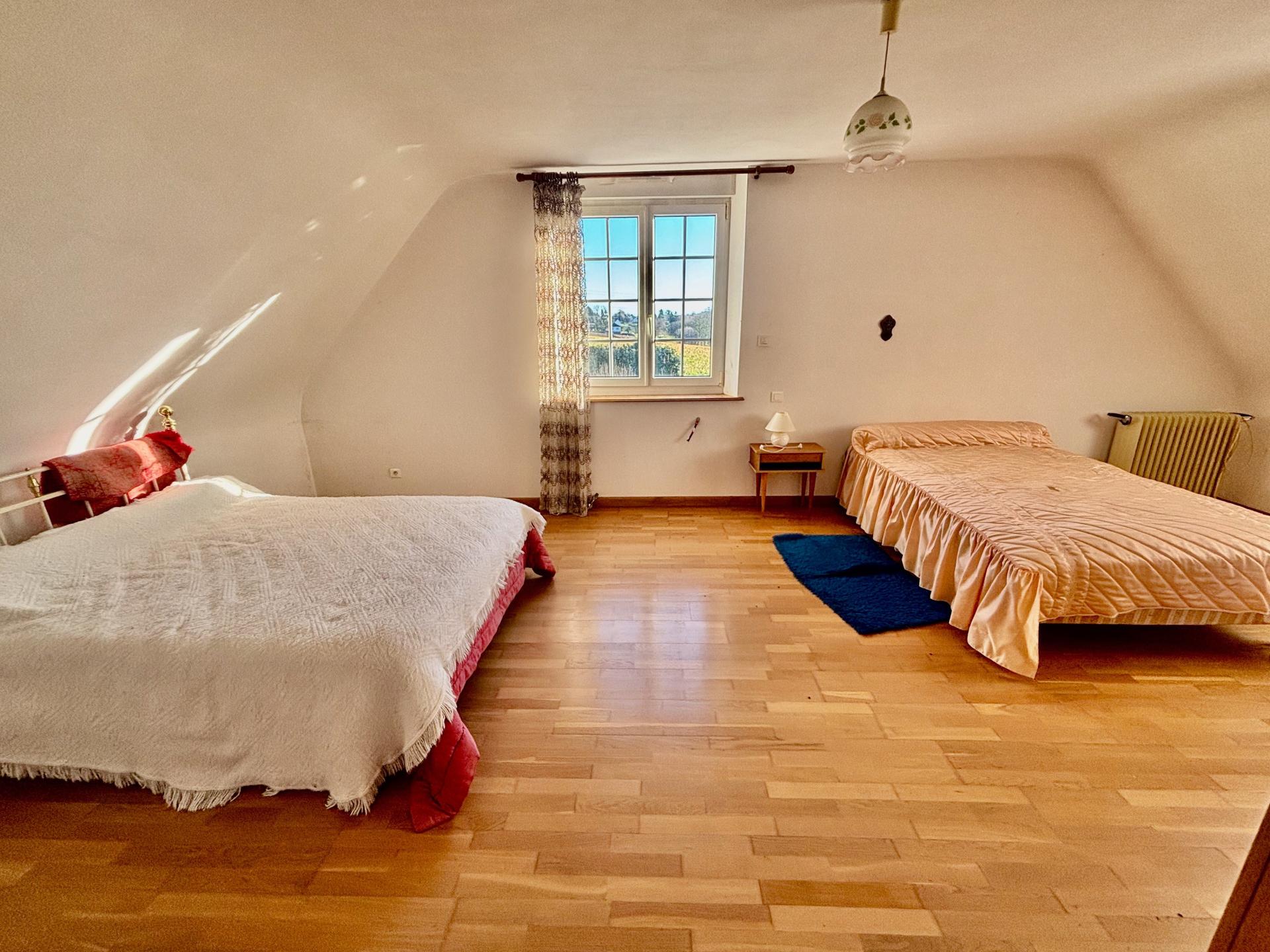 Miniature photo - 8 / 16