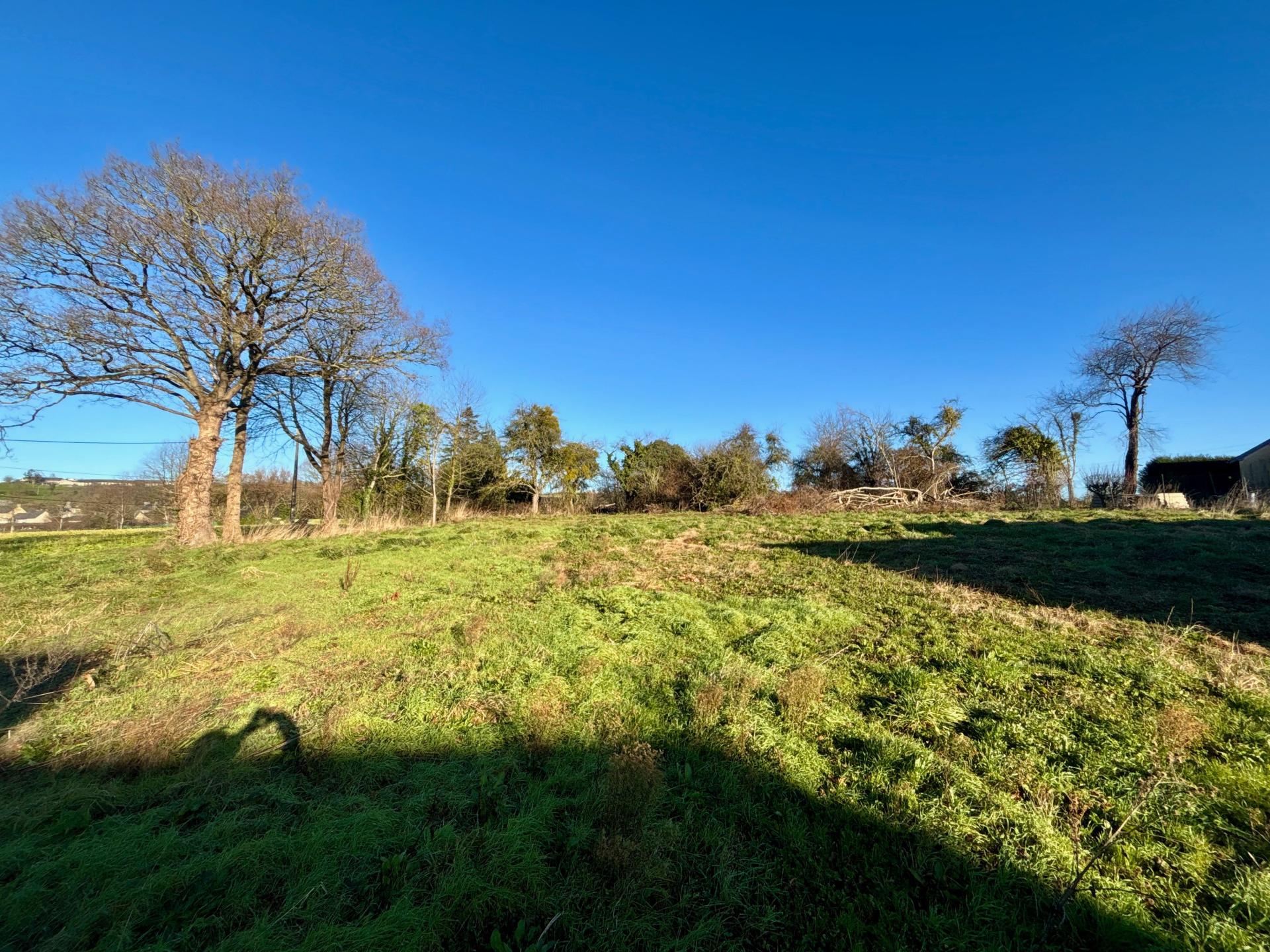 Miniature photo - 14 / 16