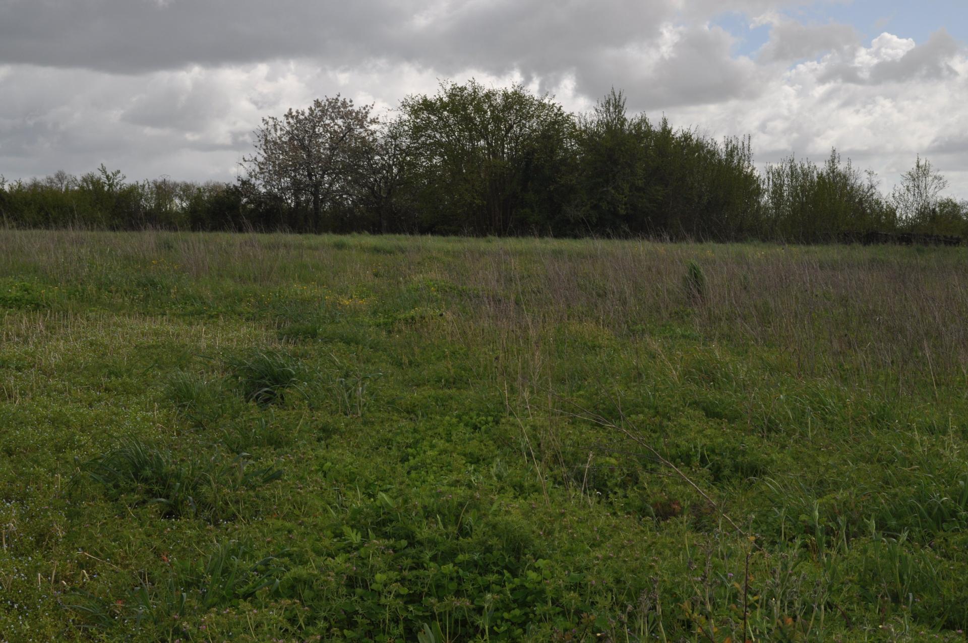 Photographie descriptive du bien