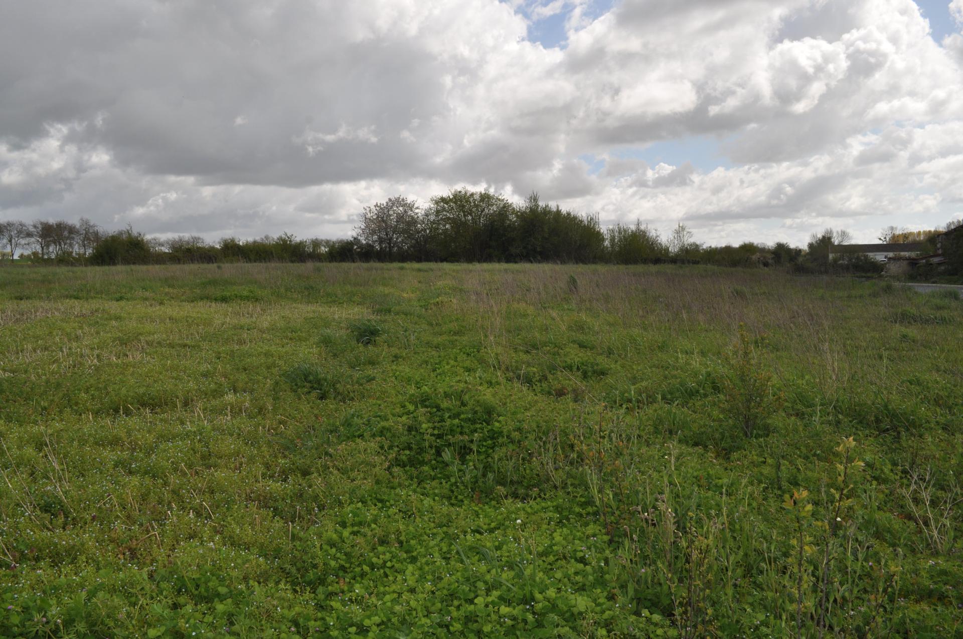 Miniature photo - 2 / 7