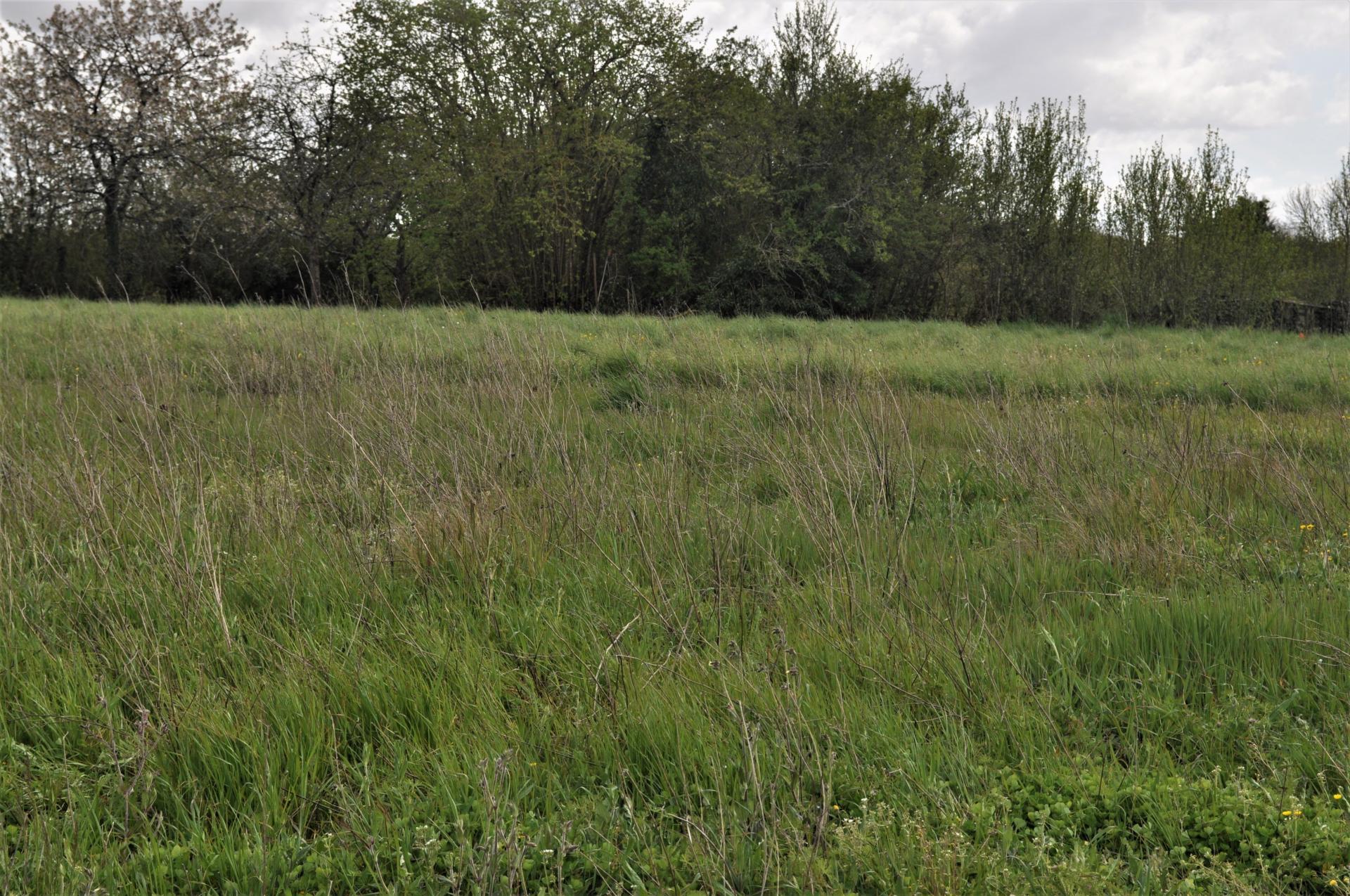 Miniature photo - 7 / 7