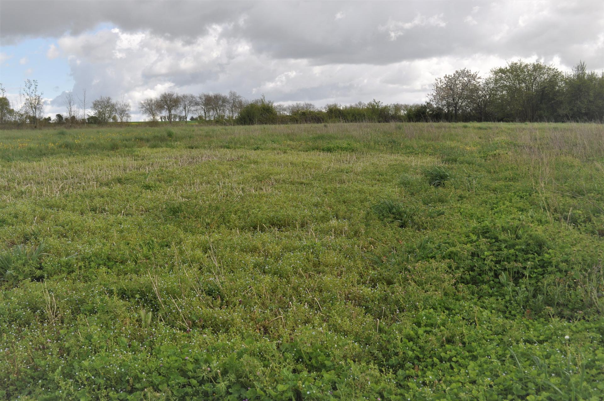 Miniature photo - 6 / 7