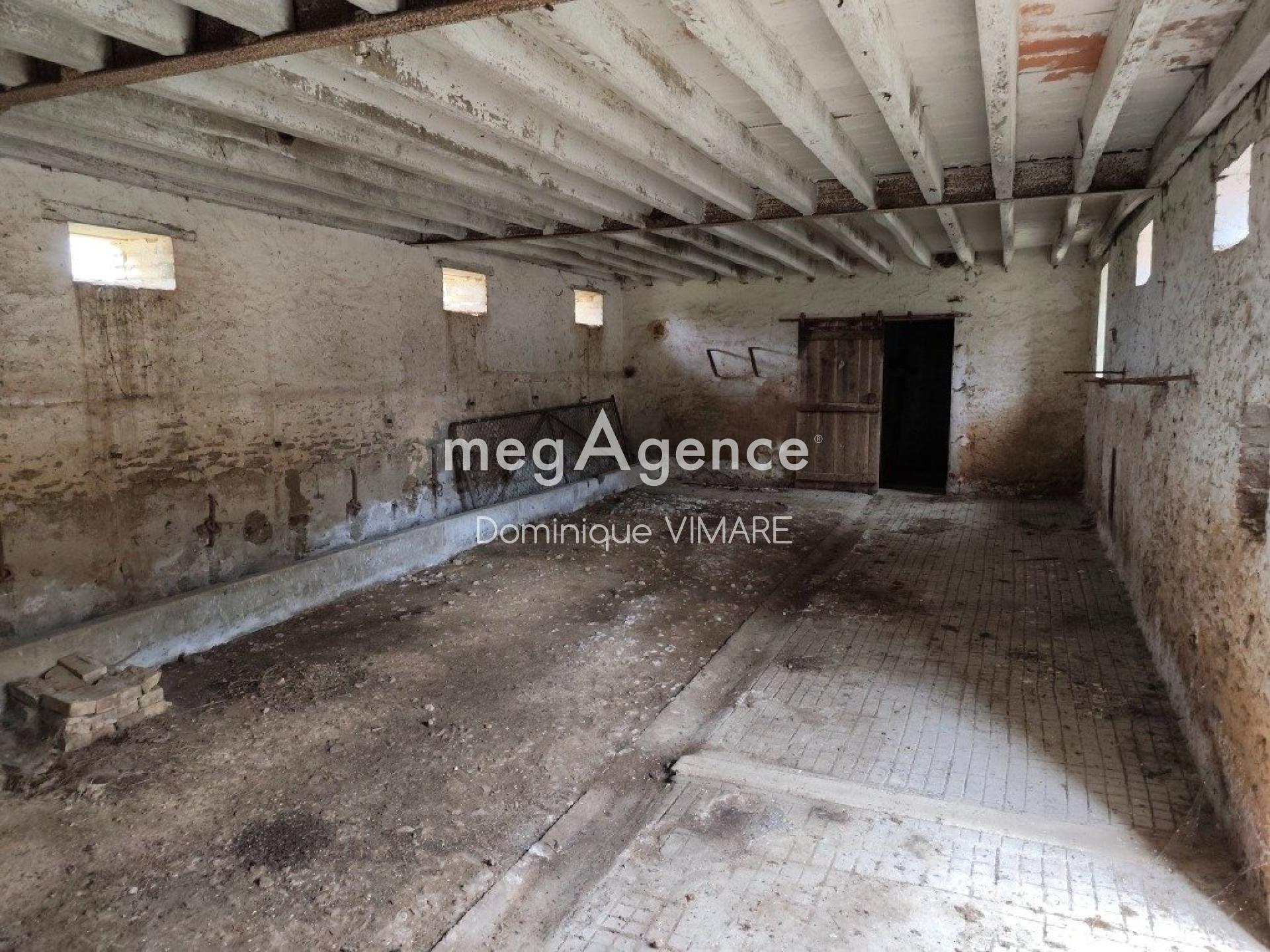 Miniature photo - 13 / 13