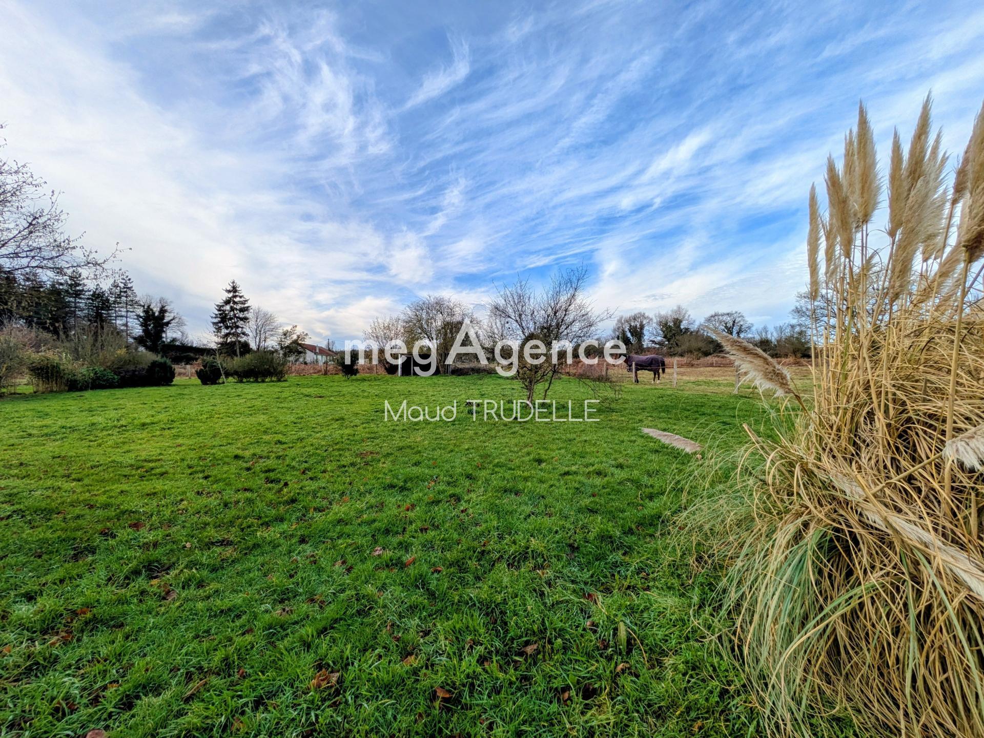 Miniature photo - 10 / 13