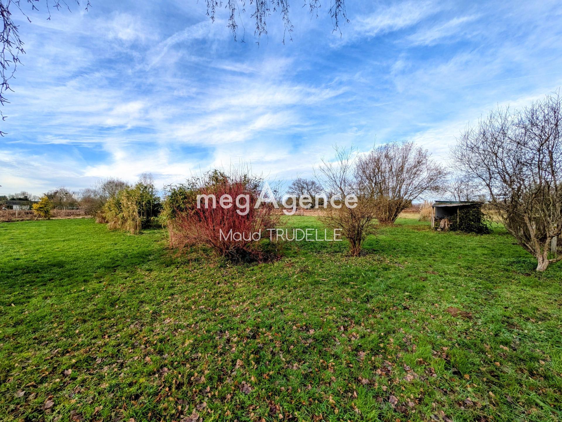 Miniature photo - 9 / 13