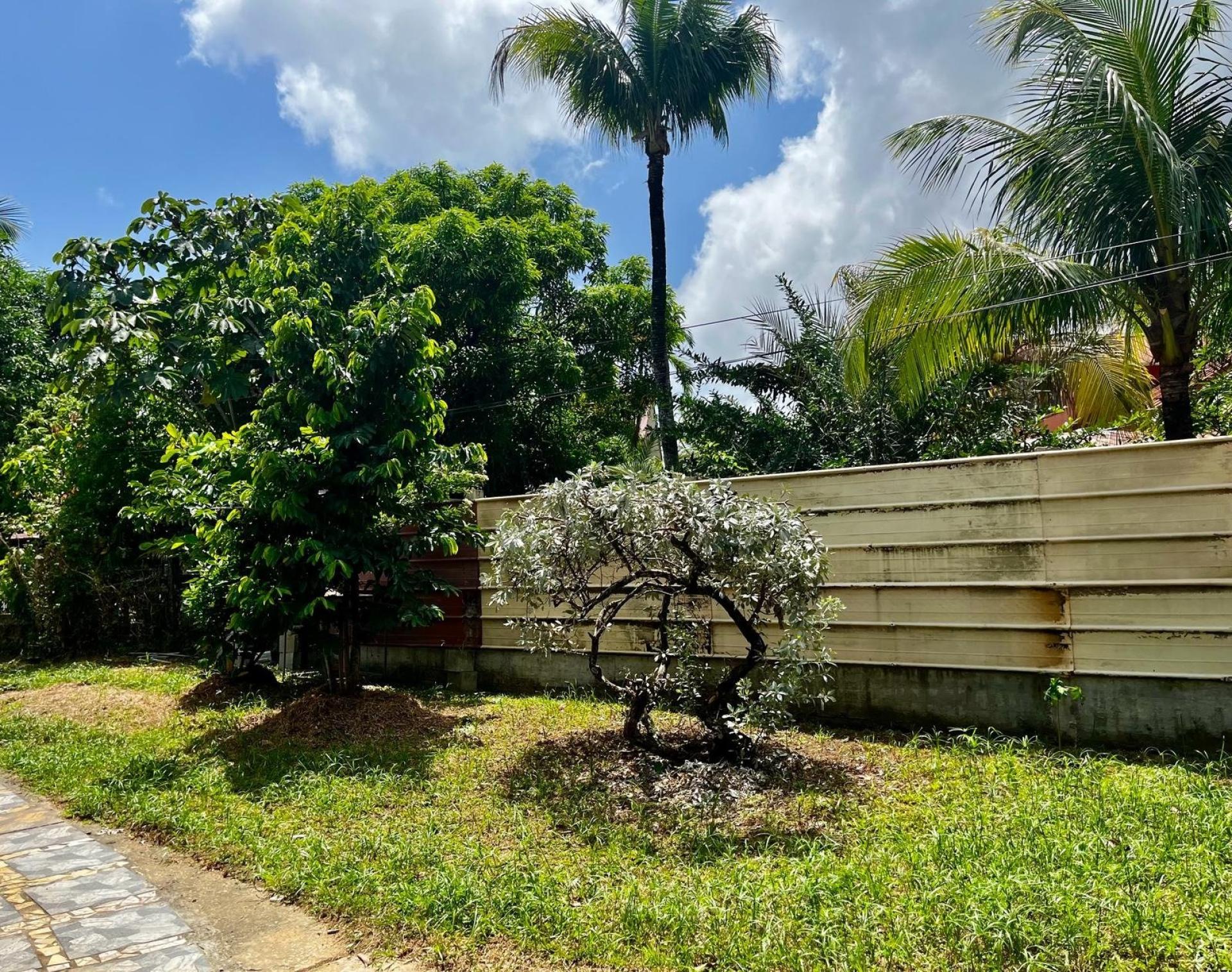 Miniature photo - 2 / 14