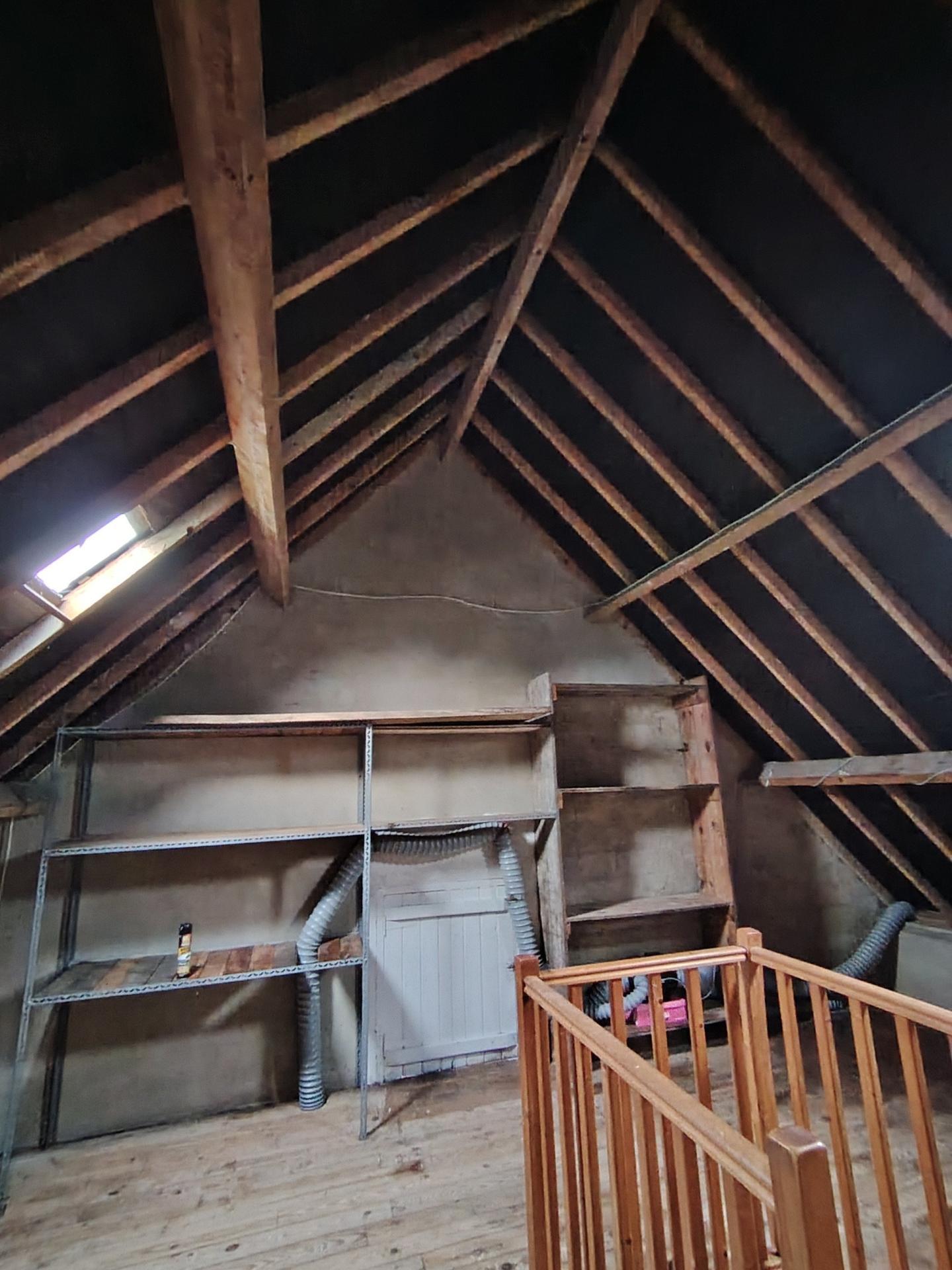 Miniature photo - 16 / 16