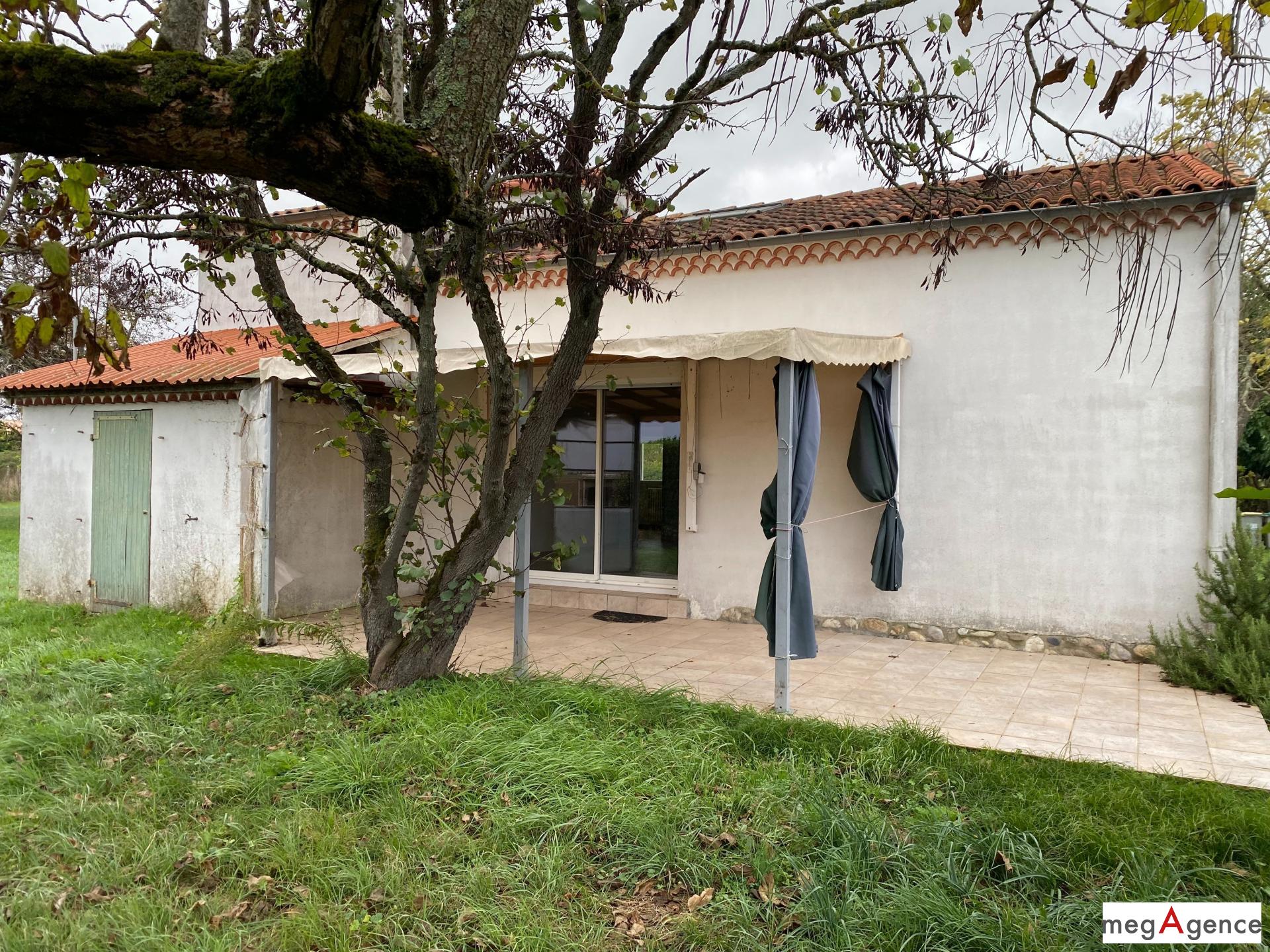 Miniature photo - 10 / 11