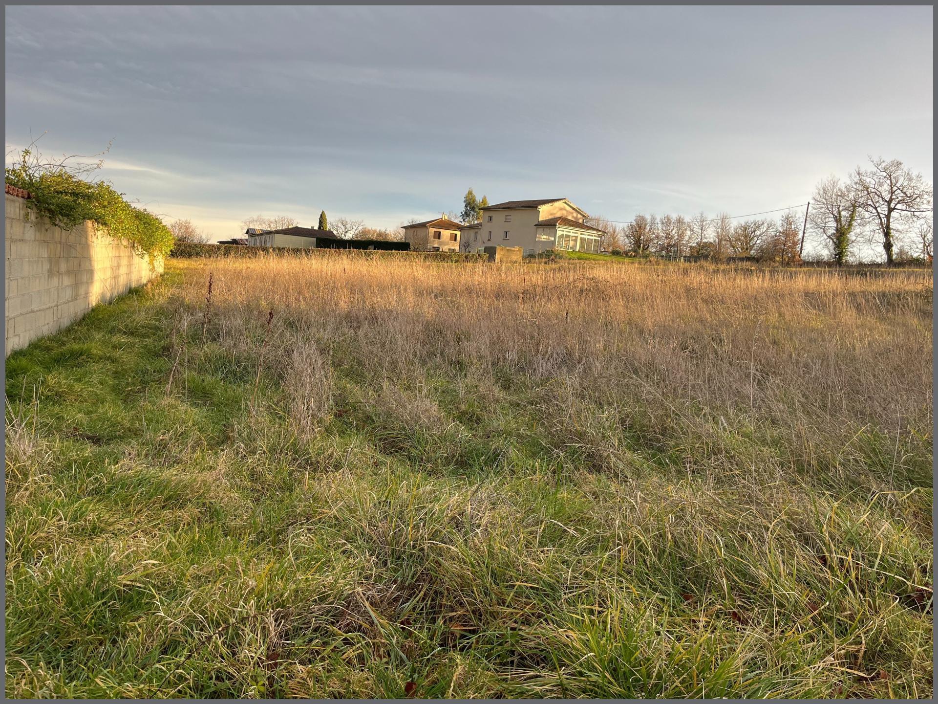 Miniature photo - 3 / 3