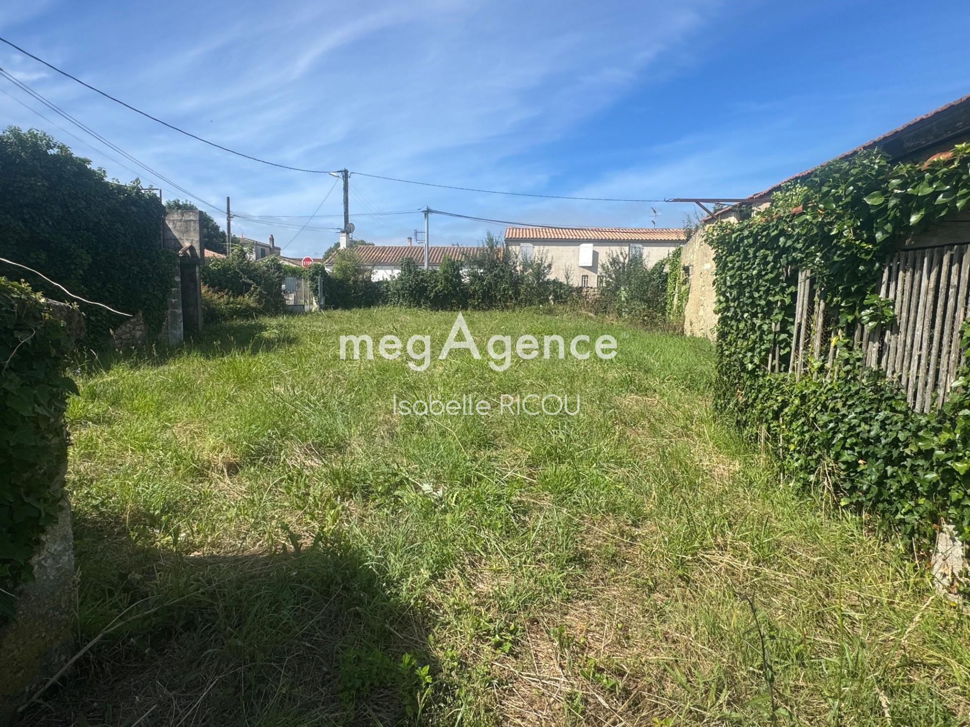 Miniature photo - 3 / 7